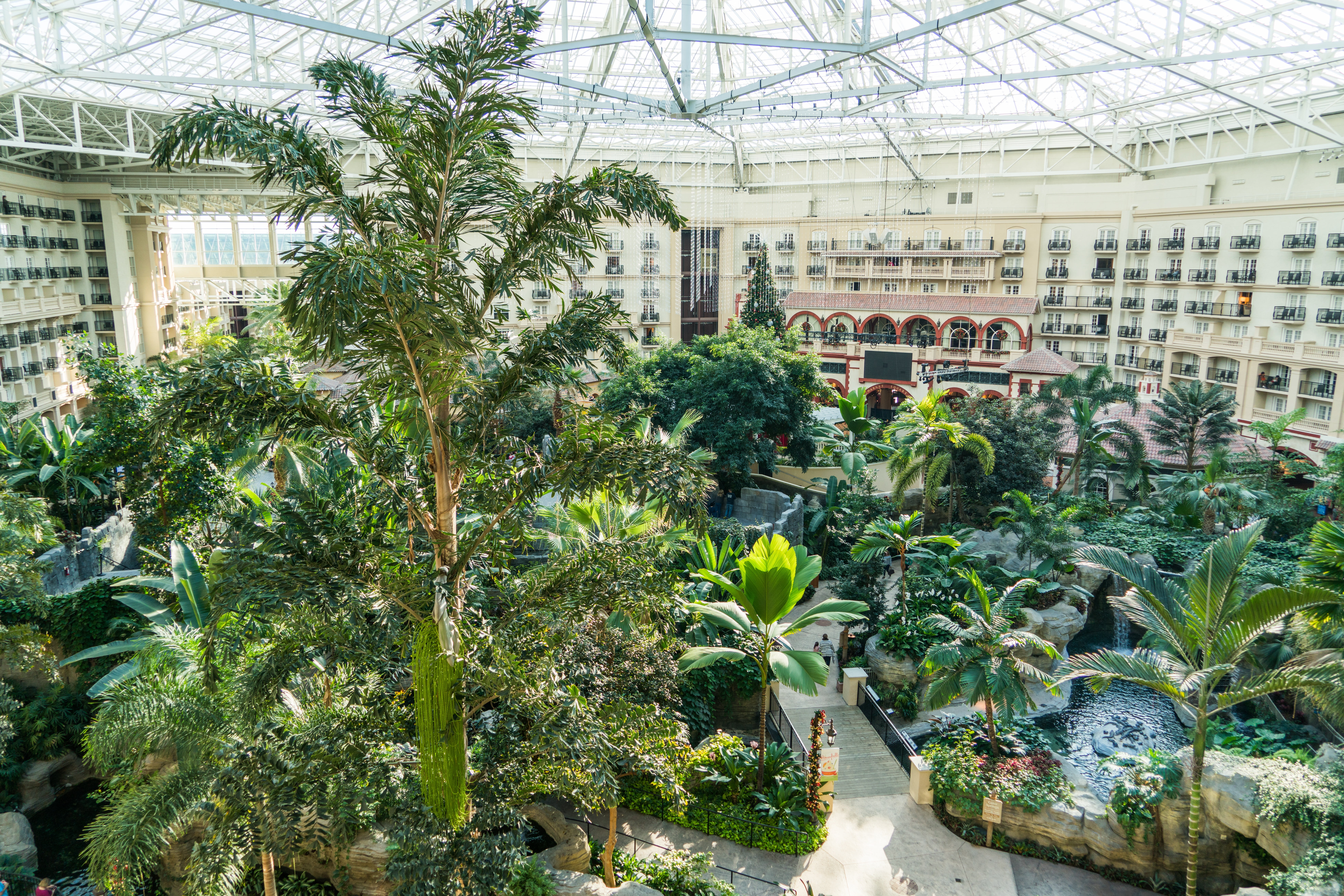 dome, orlando, scene, gaylord palms hotel, built structure, building, architecture, ornamental garden, growth, day, scenery, green color, green, leaf, florida, HD Wallpaper