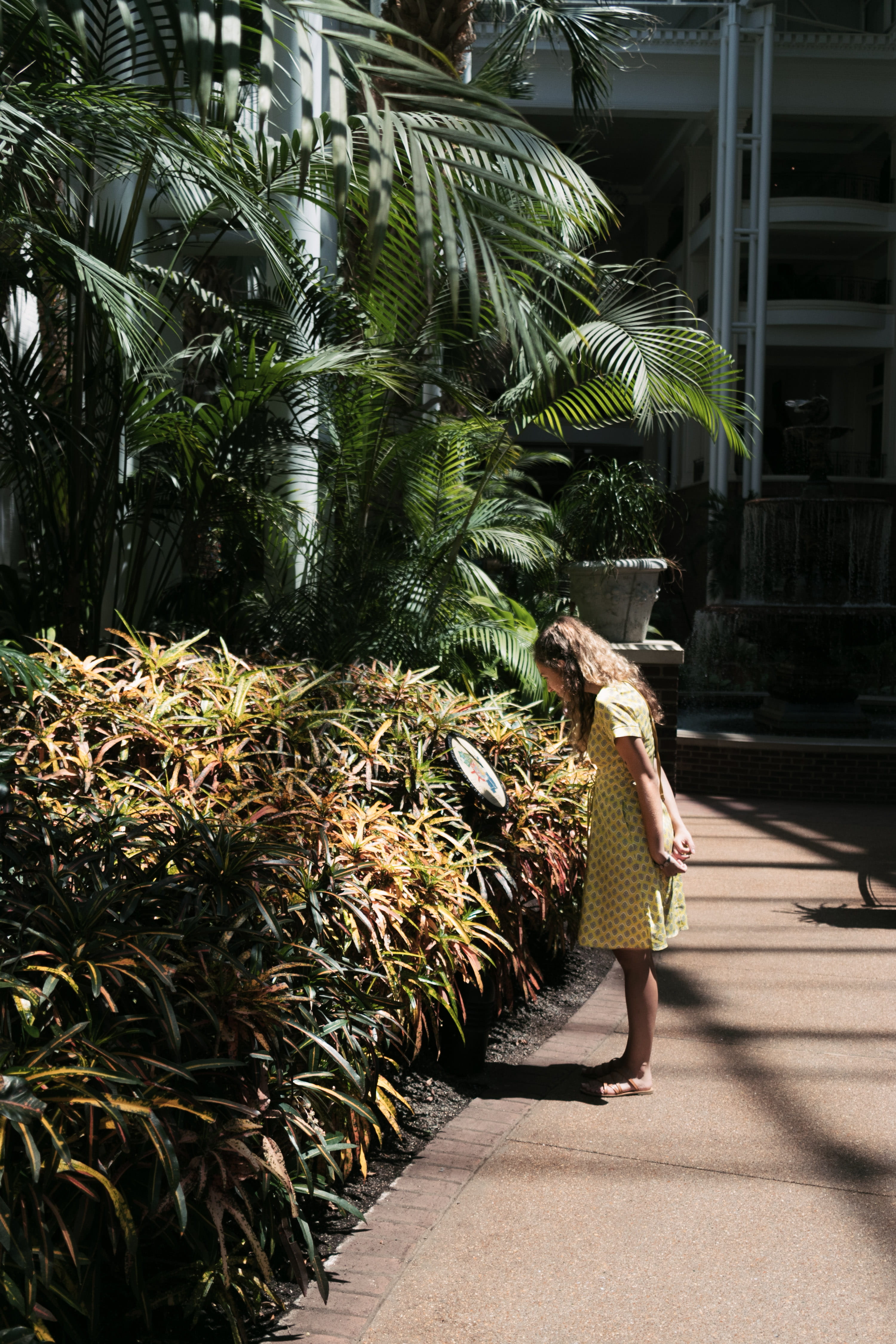 adult, nature, united states, evening dress, tropical climate, human, fashion, plants, palm tree, apparel, yellow, standing, day, gaylord opryland resort and spa, Phone HD Wallpaper