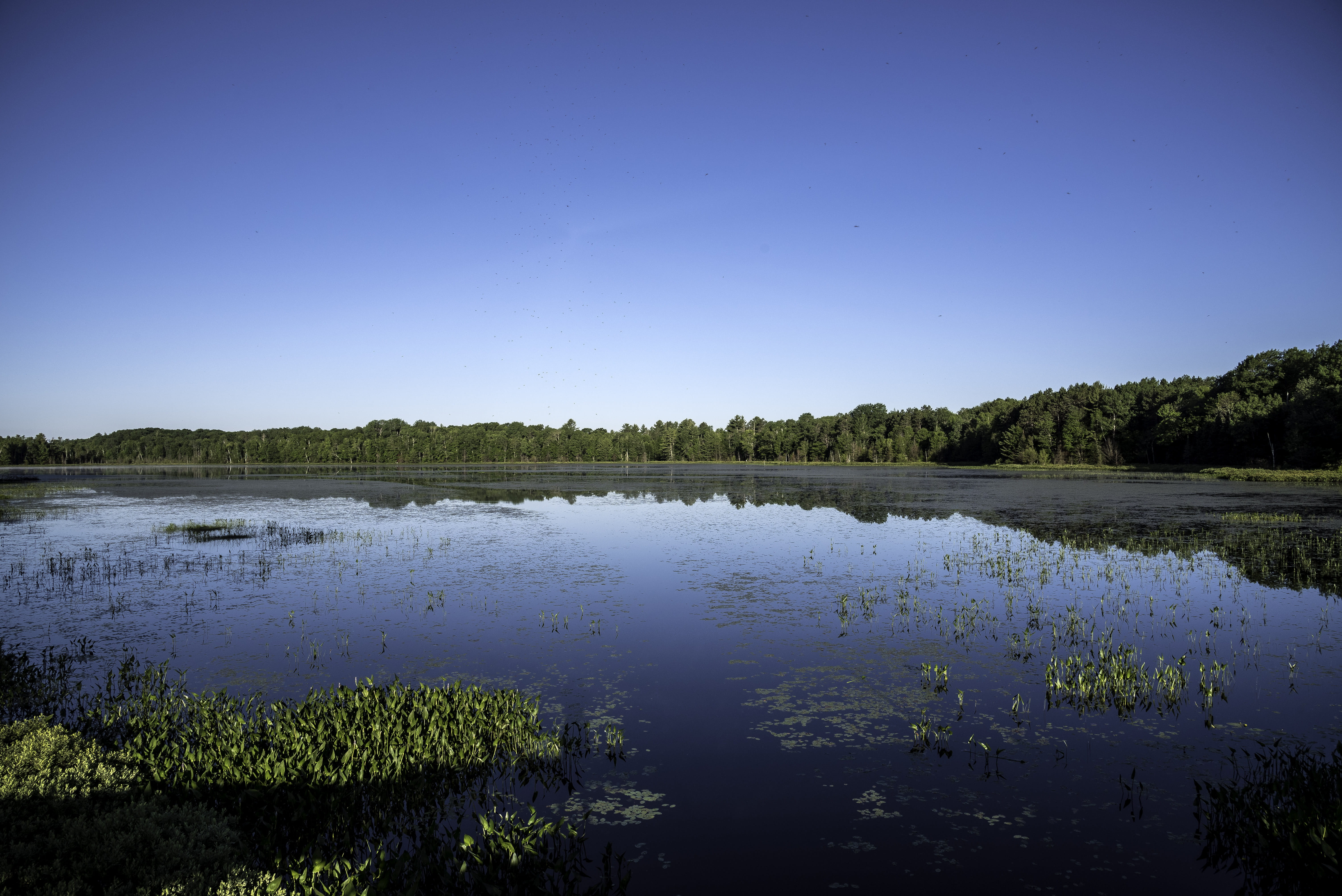 green Color, bodies Of Water, landscape, environment, sky, landscapes, water, clear sky, public domain, beauty In Nature, lake, reflection, Wisconsin, scenics - nature, HD Wallpaper