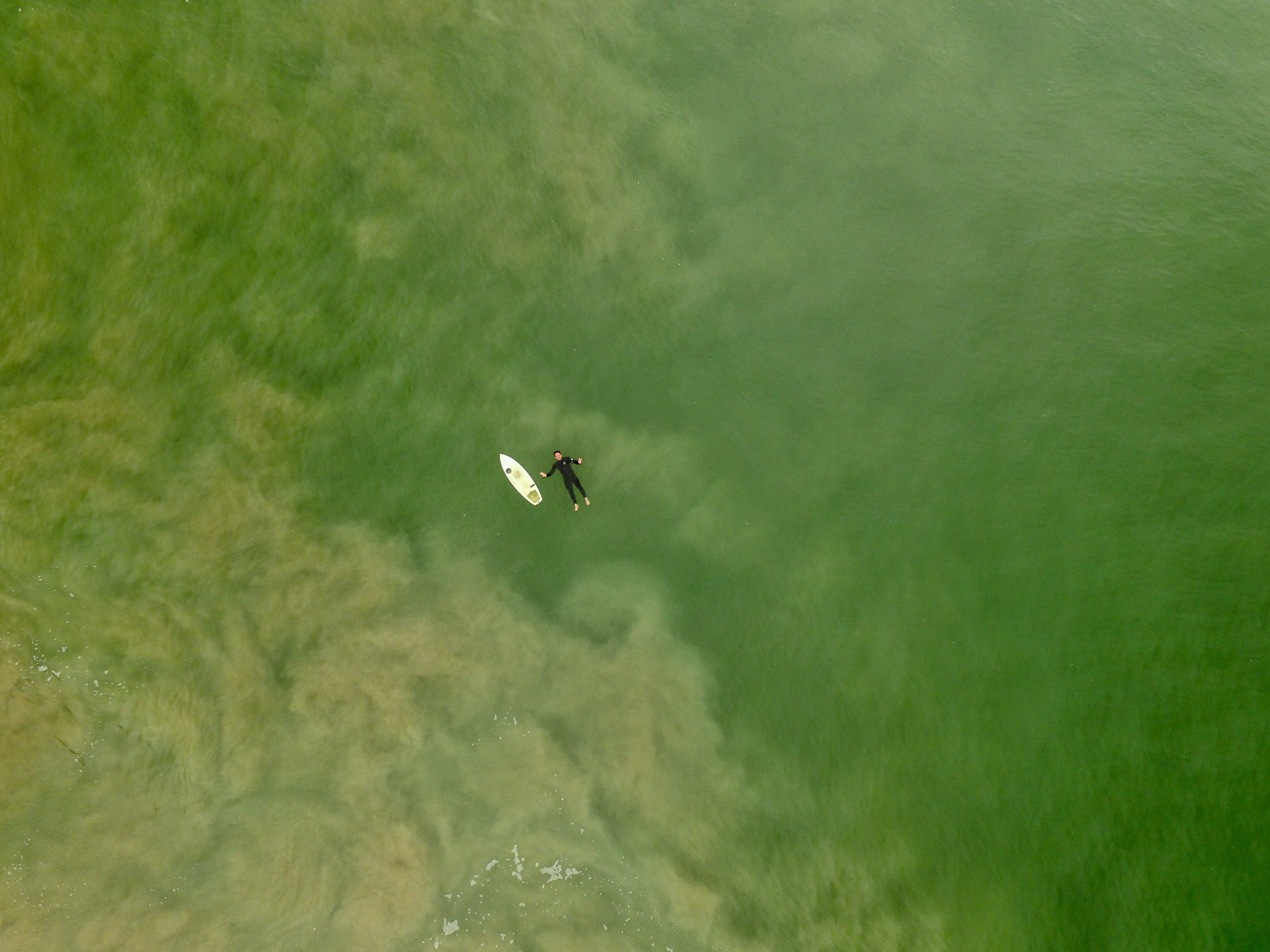 salt, transportation, beauty in nature, animal, floating, aerial view, land, splash, water, surfboard, ocean, surfer, scenics - nature, green color, sea, HD Wallpaper