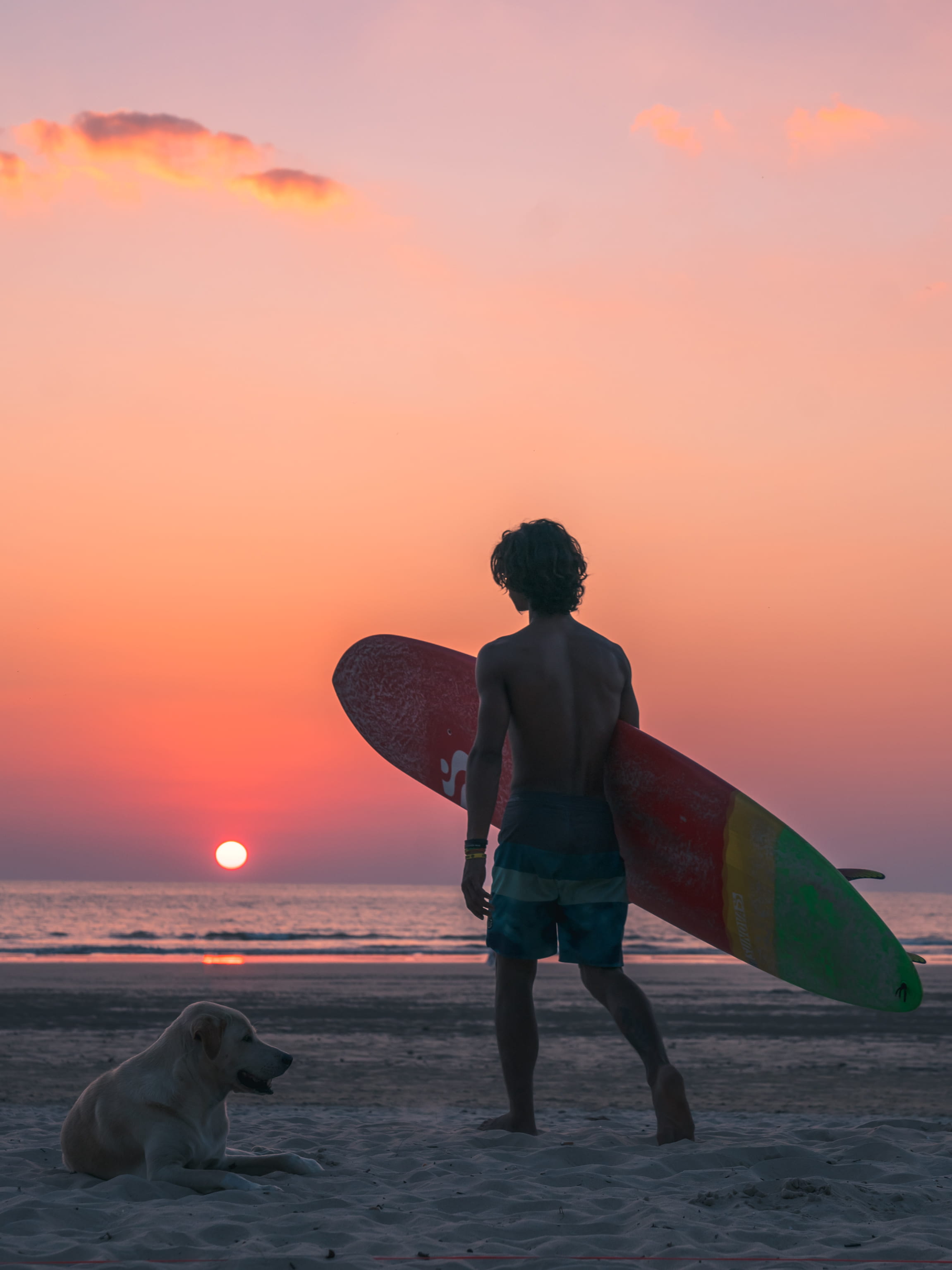 land, walking, endless summer, dog, retriever, horizon over water, men, real people, 2K, sky, multicolored, labrador, sea, sand, board, striped, blue, Phone HD Wallpaper