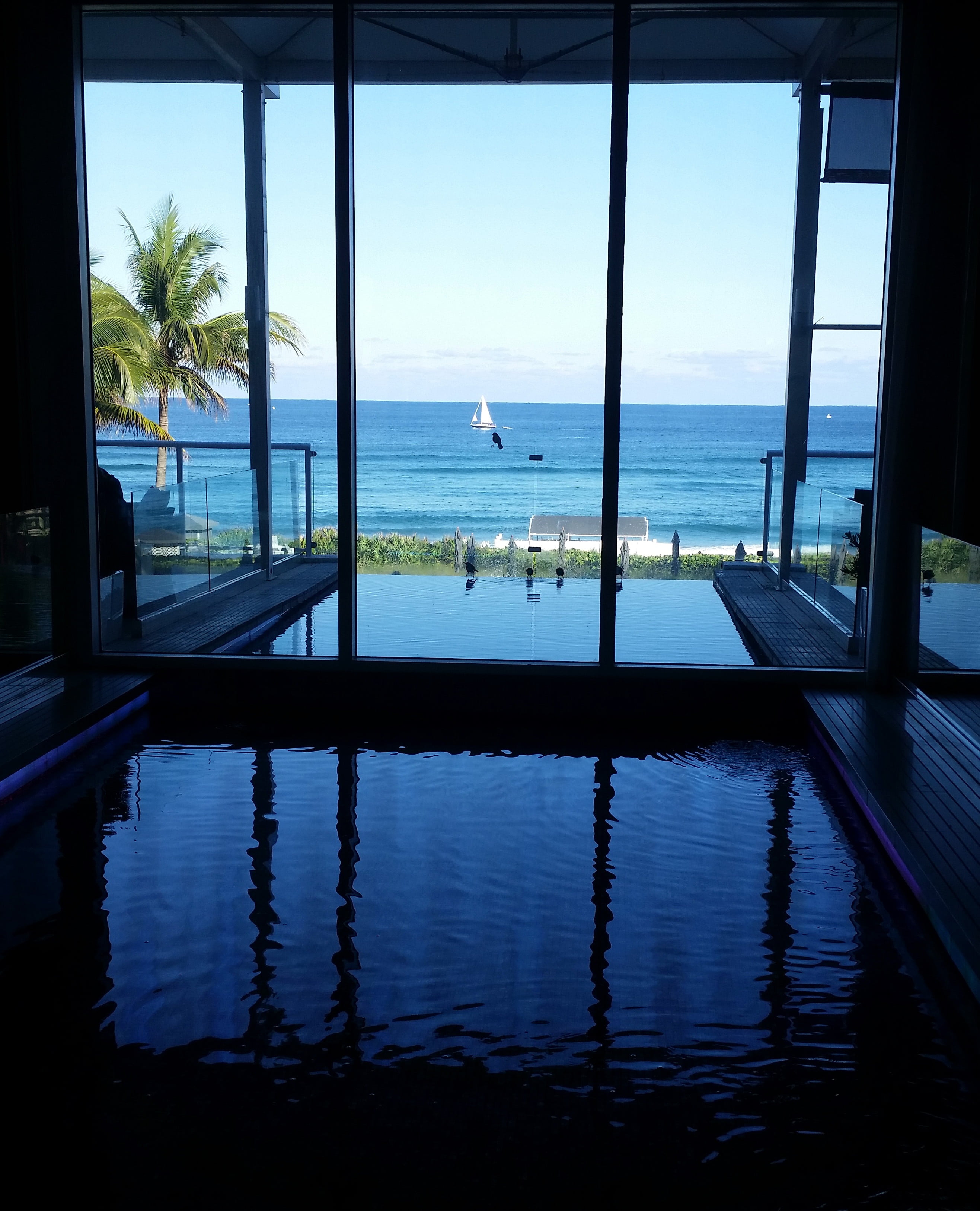 sea, indoors, bird, animal themes, room, transparent, reflection, boca resort, no People, sky, water, blue, nature, swimming pool, glass - material, view, Phone HD Wallpaper