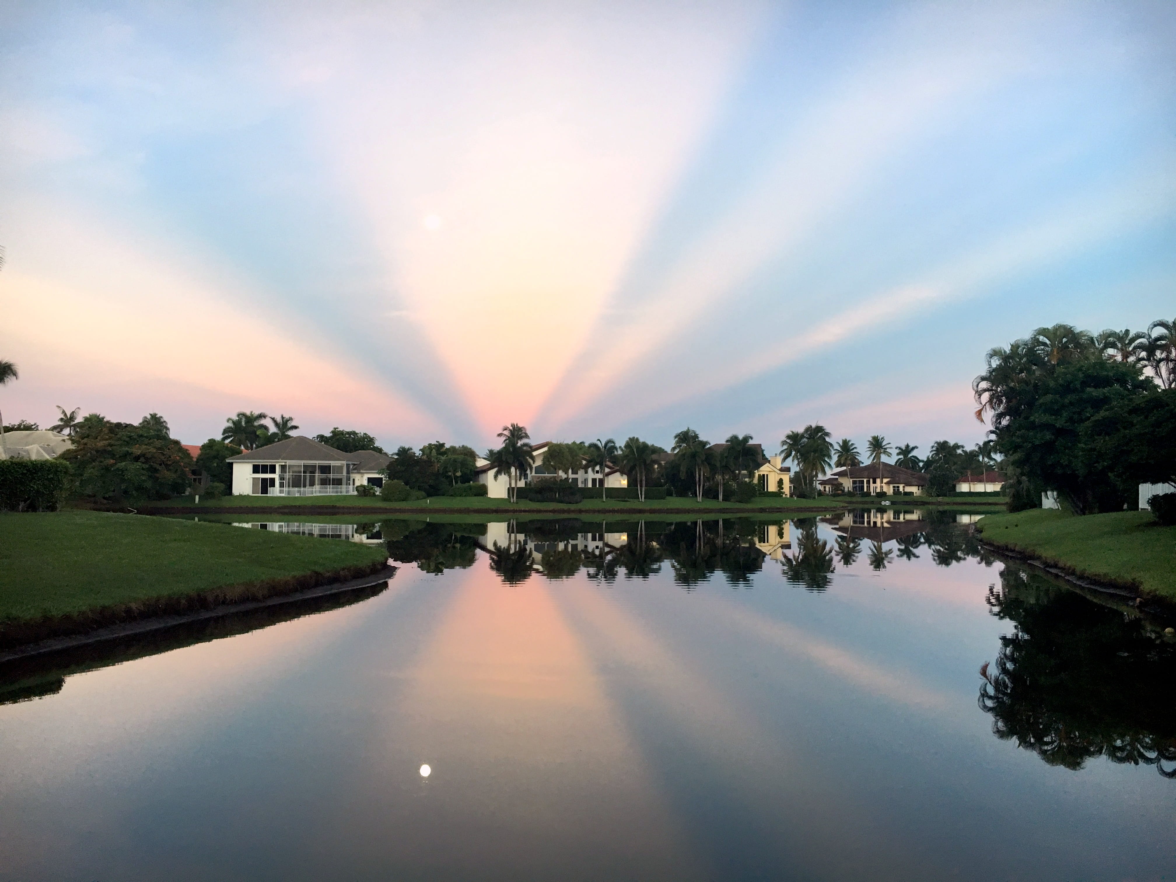 boca raton, nature, 4K, tree, lake, outdoors, sun, reflection, tranquility, architecture, cloud - sky, scenics - nature, waterfront, plant, idyllic, sunlight, HD Wallpaper