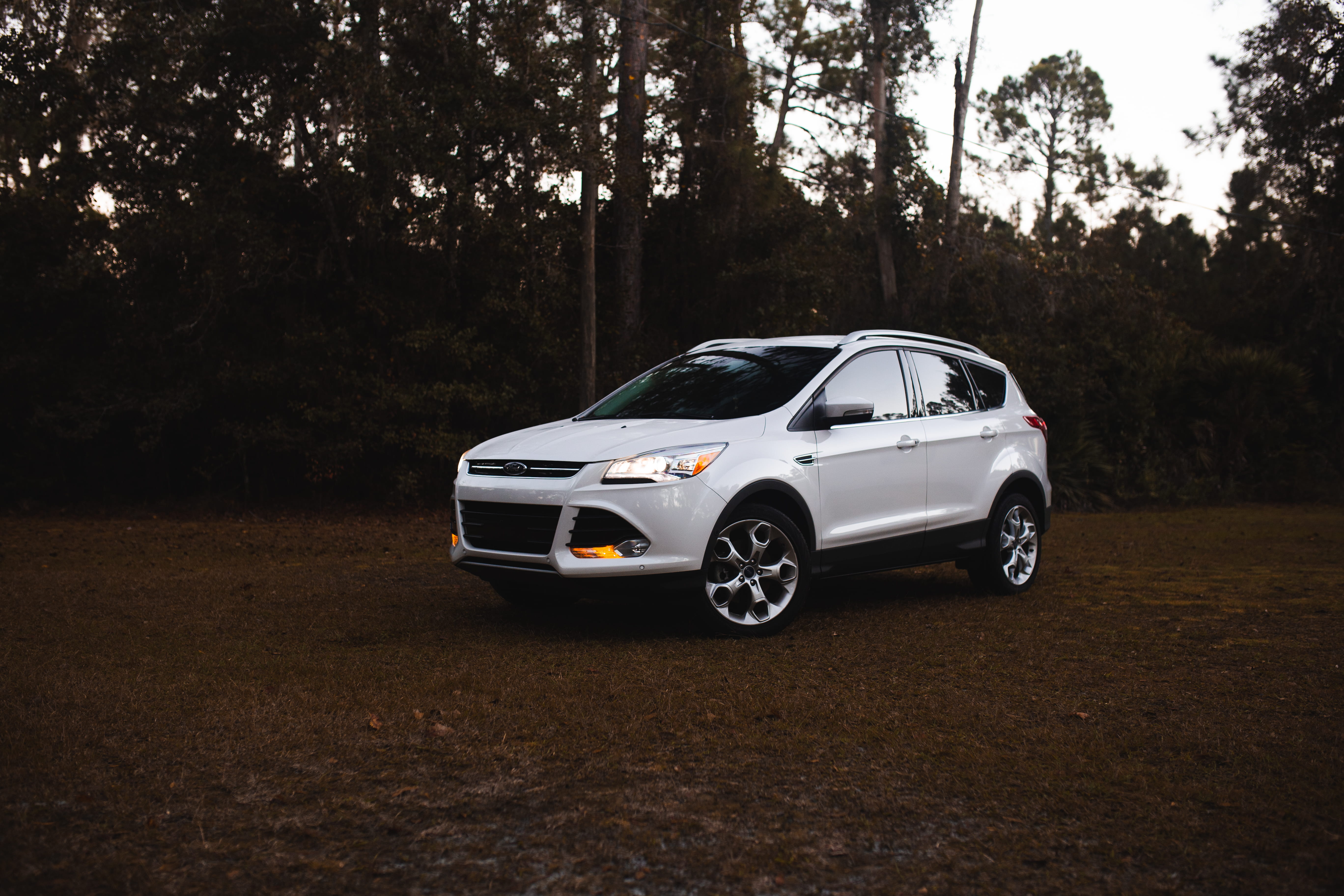 road, automobile, united states, ford, transportation, wheel, jacksonville, car, landscape, plant, escape, machine, woods, no people, white, florida, motor vehicle, HD Wallpaper