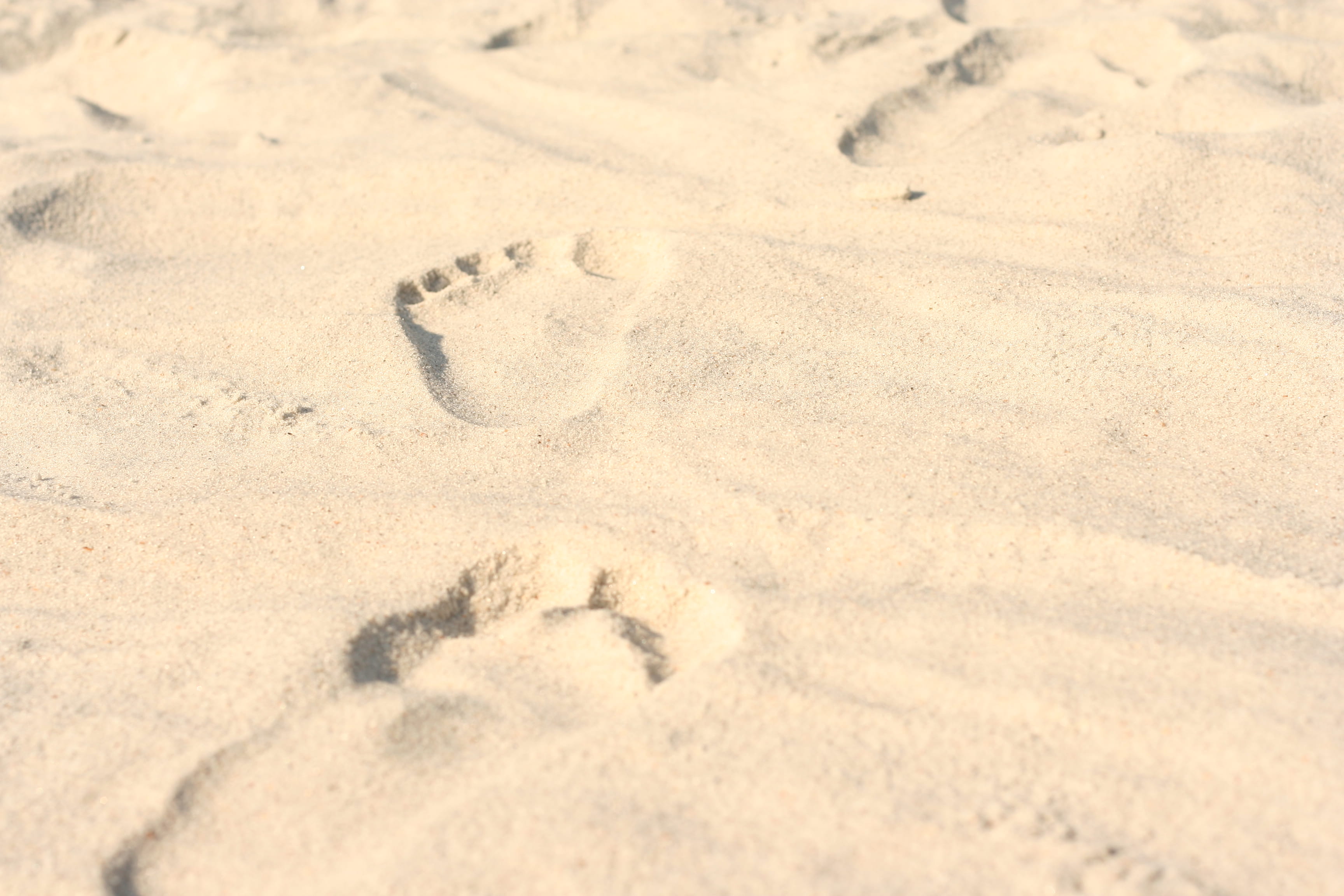 jacksonville, footprint, pattern, florida, creativity, land, art and craft, sunlight, backgrounds, nature, beach, 2K, high angle view, animal track, track - imprint, HD Wallpaper