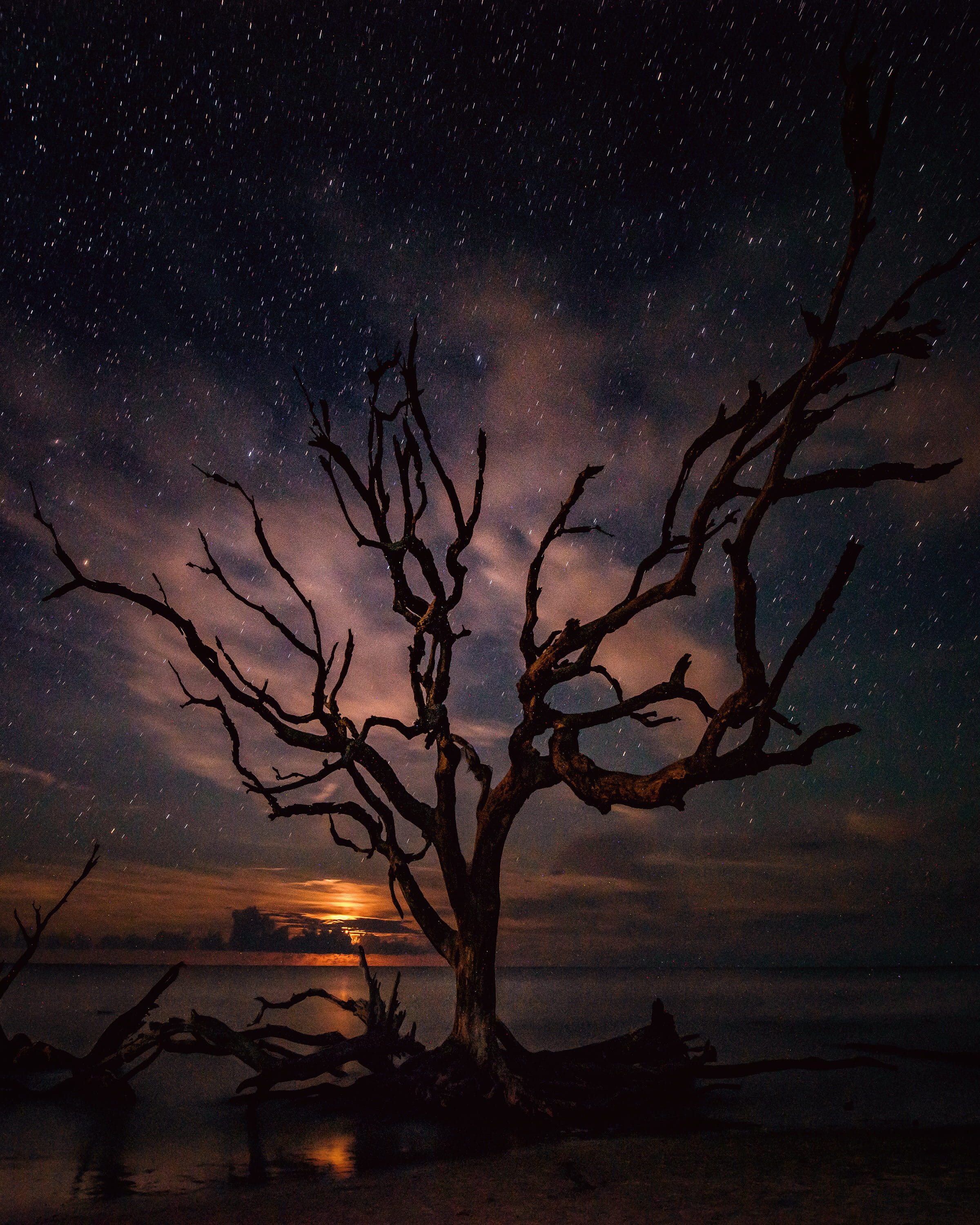 moody, moon, star, sky, dark, astrology, space, bare, winter, illustration, long exposure, night time, sunset, mood, season, scenics, florida, backgrounds, Phone HD Wallpaper