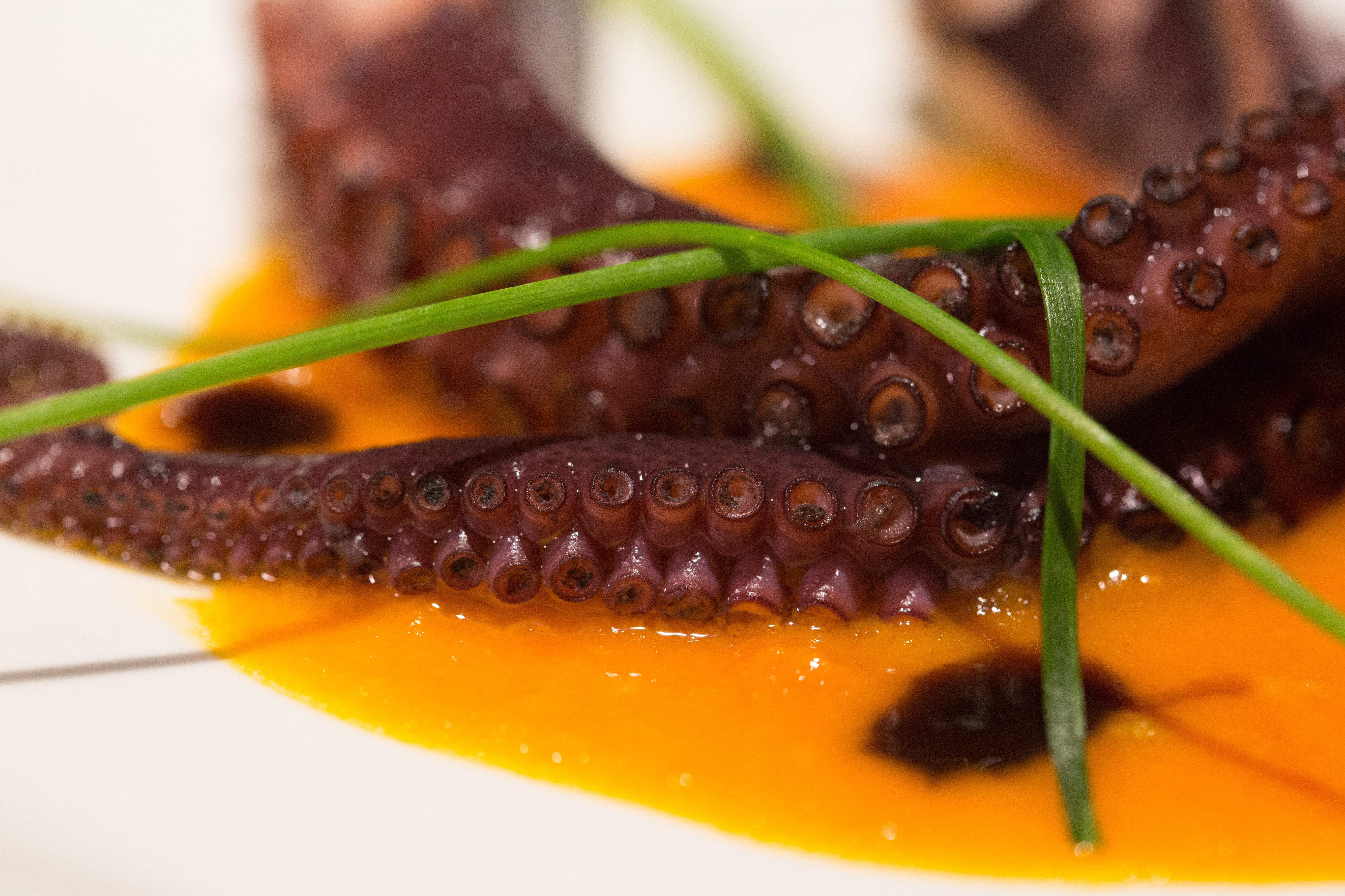 selective focus, nature, italian food, portion, lunch, drop, water, focus on foreground, sauce, close-up, no people, wellbeing, squide, animal, fish, still life, HD Wallpaper