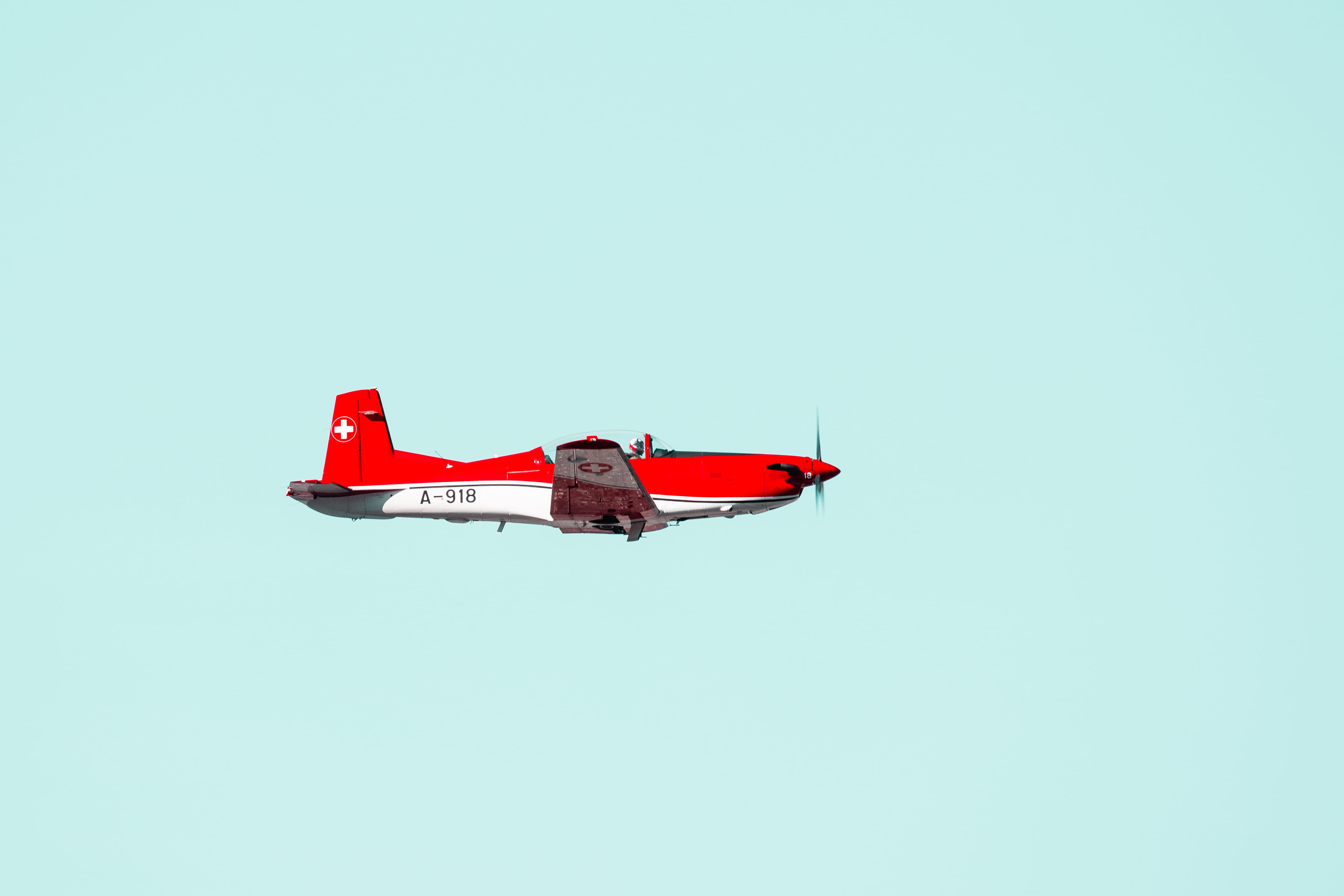 aircraft, animal, white, vehicle, horizontal, trainer, low angle view, copy space, studio shot, acrobatic, day, air force, two objects, air vehicle, HD Wallpaper