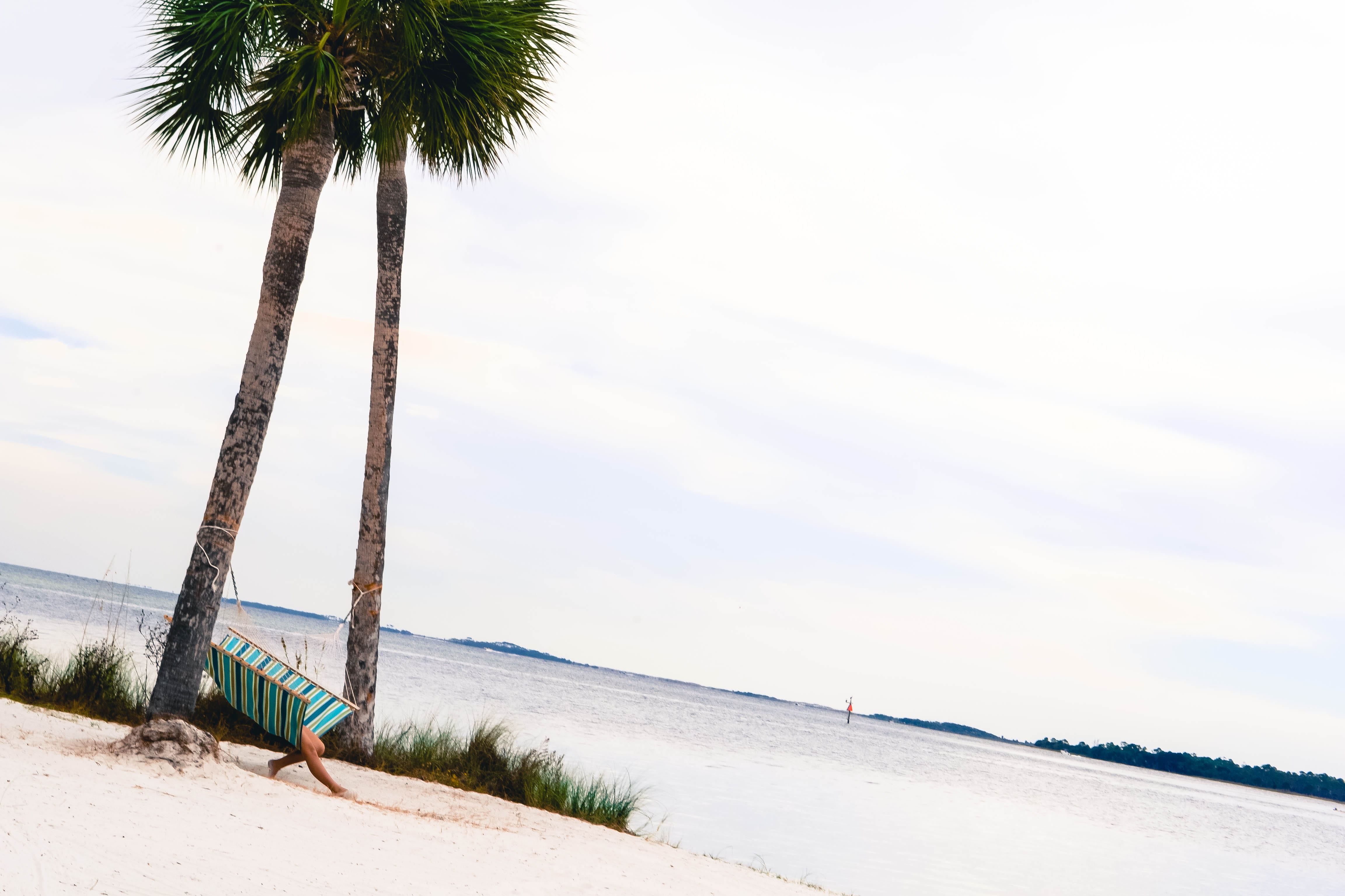 summer, cloud - sky, tropical tree, travel, day, sheraton bay point resort, no people, land, tropical climate, outdoors, gulf of mexico, tree, sand, lifestyle, HD Wallpaper