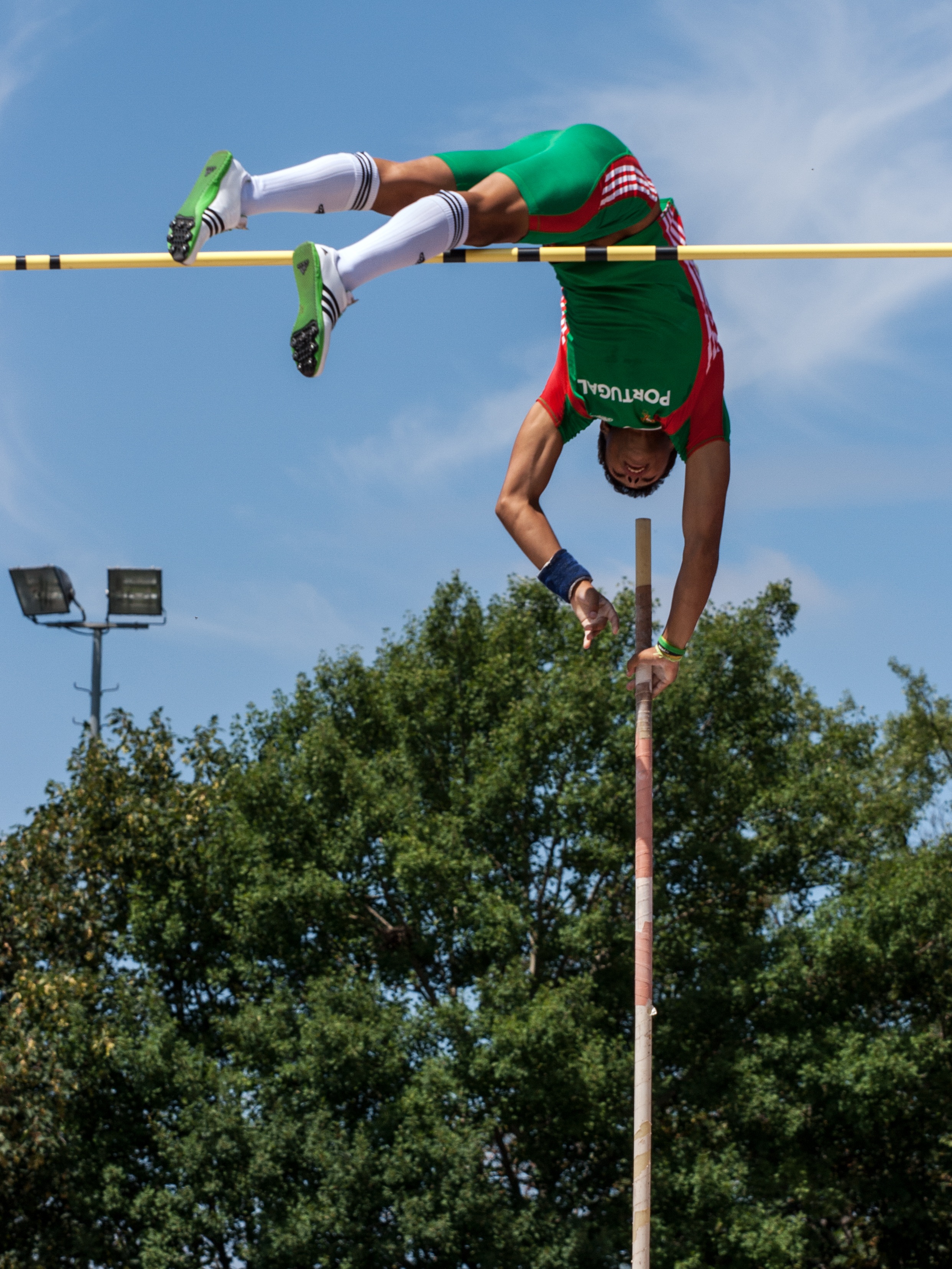 pole vault, excitement, day, outdoors, sport, sky, athletics, enjoyment, men, real people, people, skill, full length, lifestyles, nature, plant, low angle view, Phone HD Wallpaper