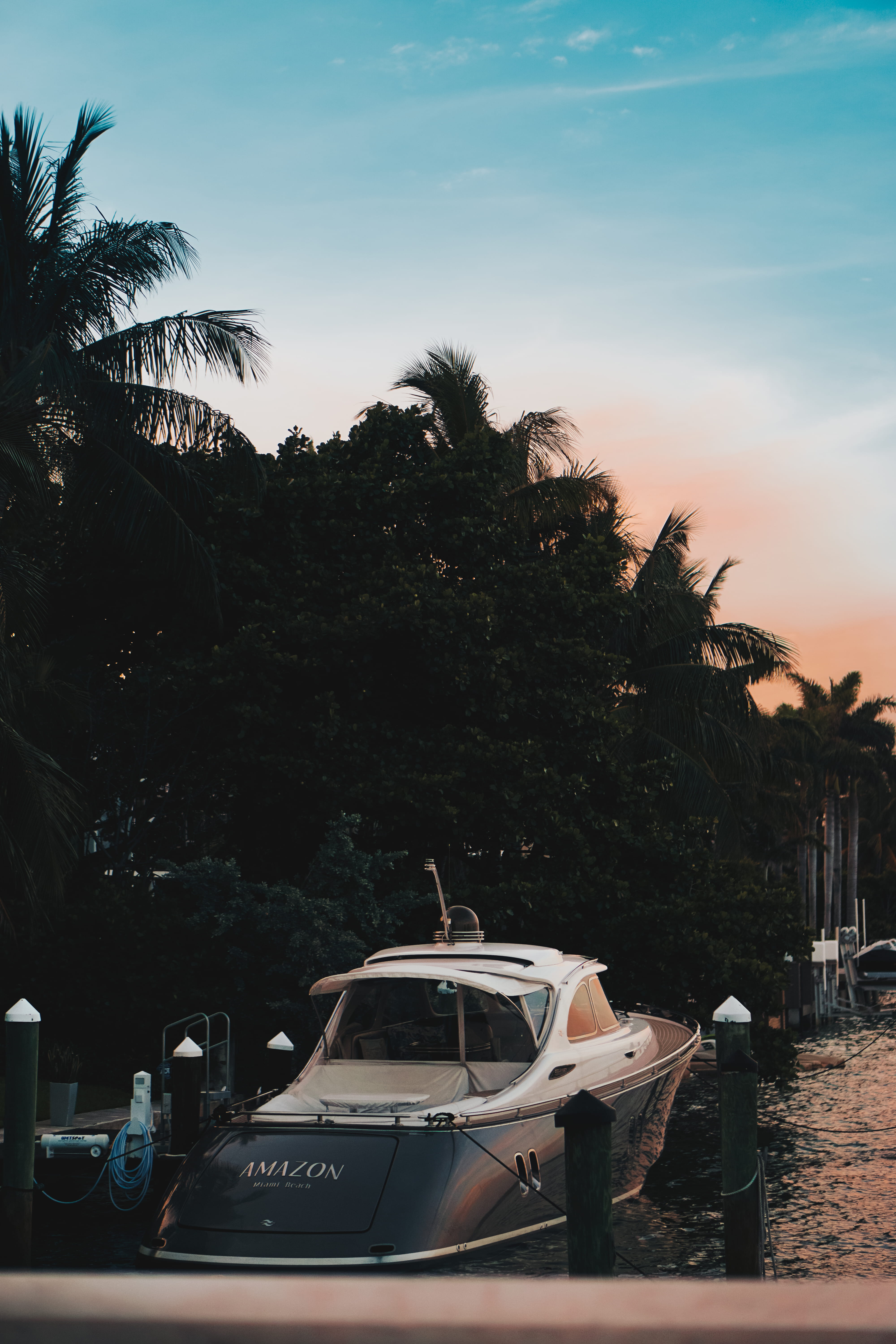 land, docked, yacht, arecaceae, transportation, real people, dock, lifestyles, growth, mode of transportation, vehicle, vessel, white, watercraft, pier, Phone HD Wallpaper