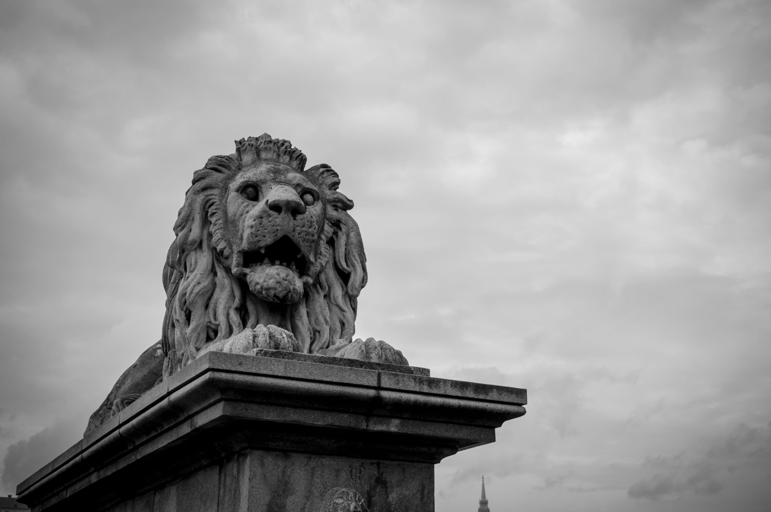 animal wildlife, chain, river, budapest, cloud - sky, low angle view, lion, no people, bridge, cityscape, animal representation, art and craft, sky, creativity, HD Wallpaper