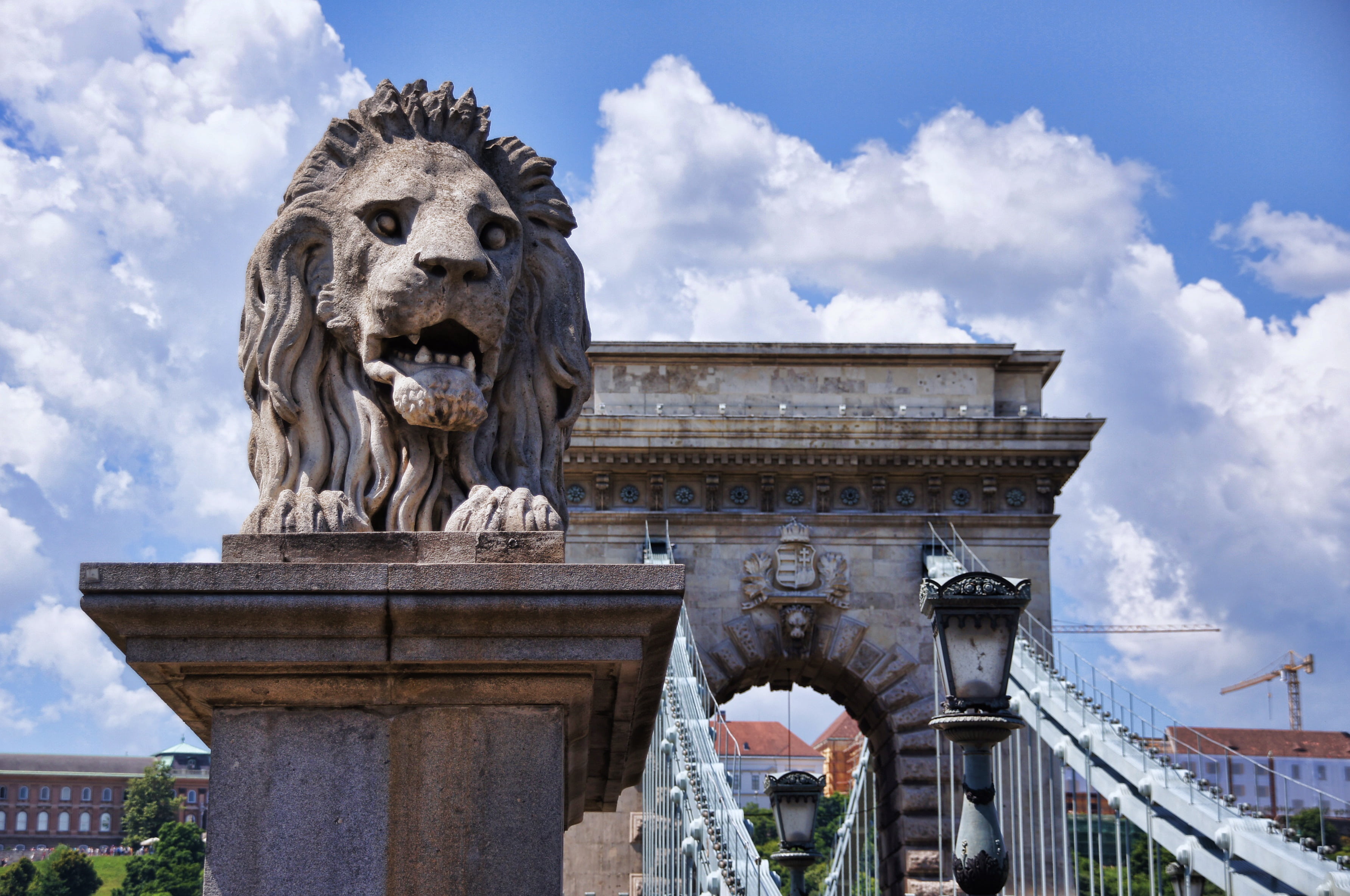 places of interest, bridge, feline, architectural, hungary, budapest, near, animal representation, photography, sky, the past, architecture, statue, arc, HD Wallpaper