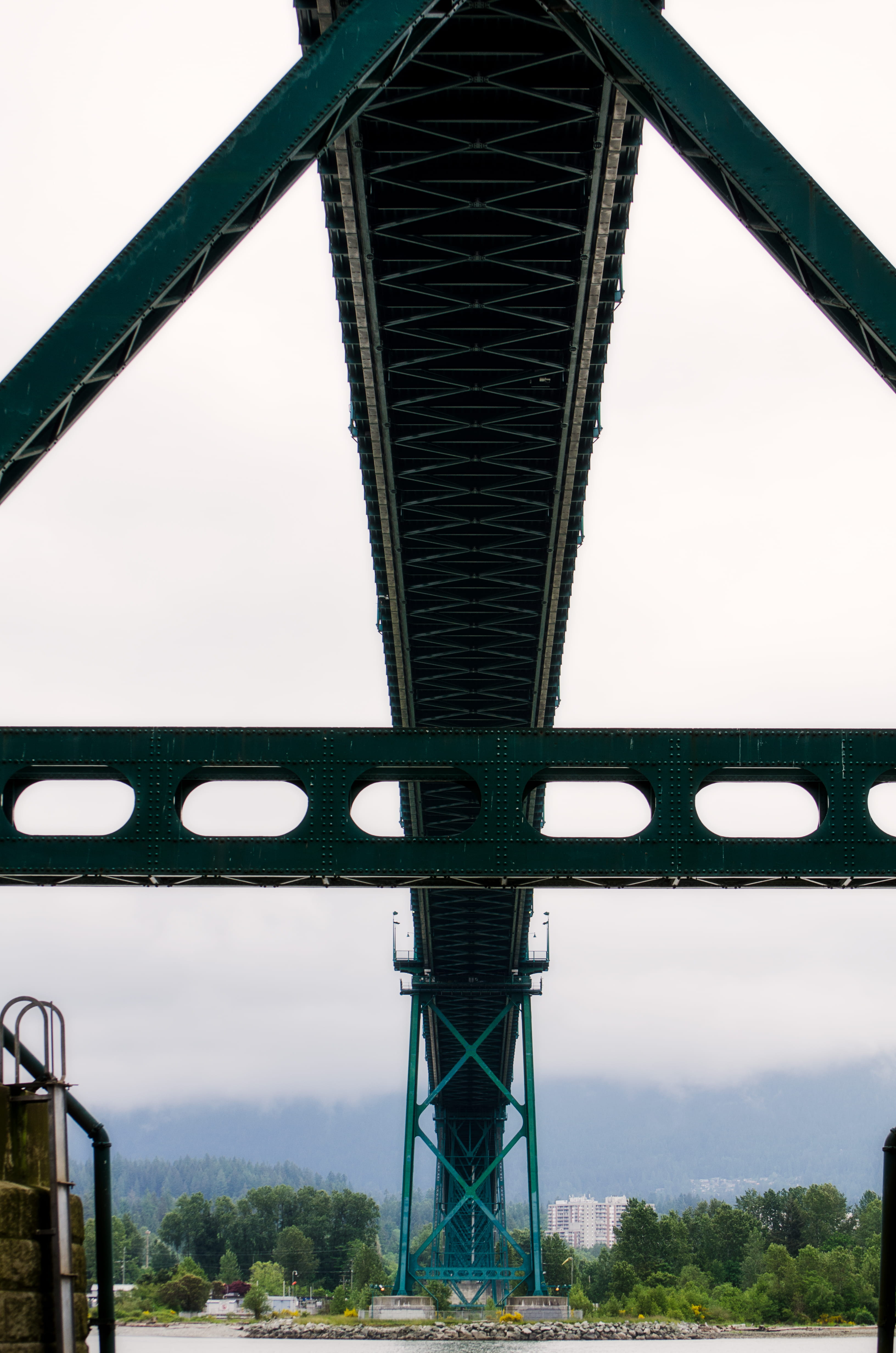 bridge - man made structure, metal, outdoors, transportation, canada, nature, bridge, clear sky, alloy, sky, steel, sea, 4K, day, plant, lions gate bridge road, Phone HD Wallpaper