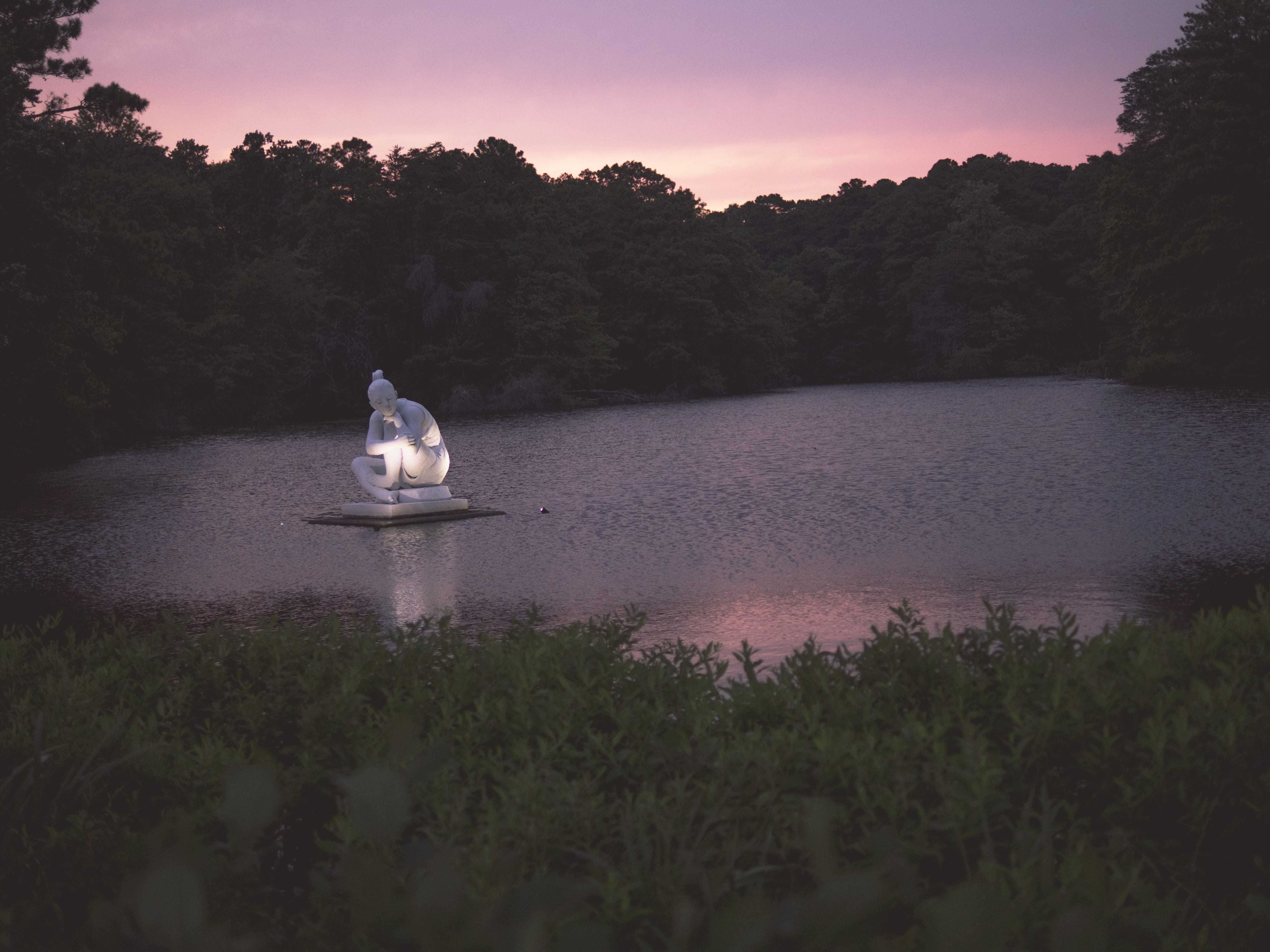water, scenics - nature, no people, lions bridge, tranquility, sky, animal themes, tree, plant, nature, animal, tranquil scene, newport news, forest, sunset, HD Wallpaper