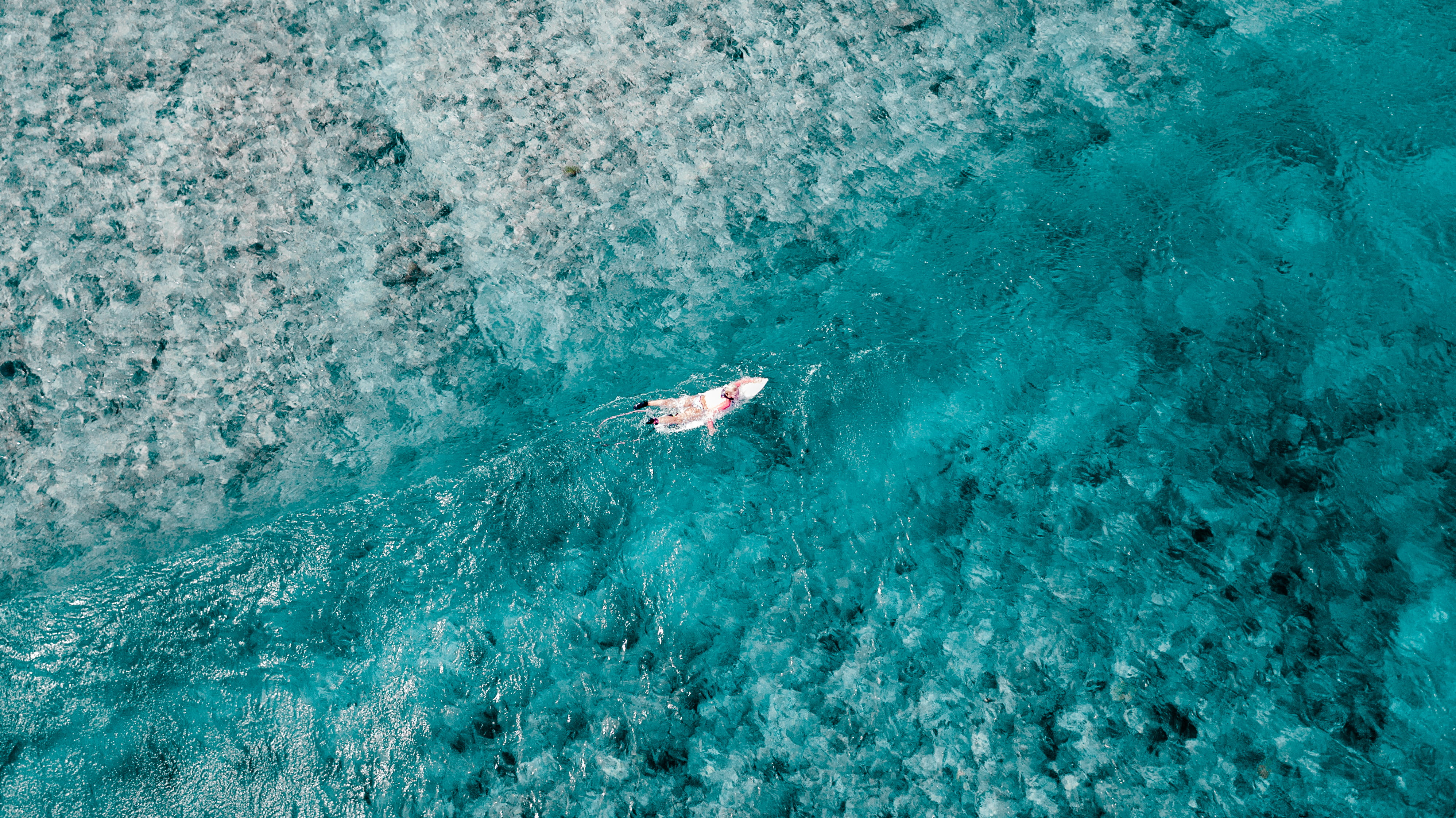 maldives, leisure activity, surfing, high angle view, blue, outdoors, daytime, turquoise colored, animal wildlife, undersea, reef, water, aerial, sea waves, HD Wallpaper
