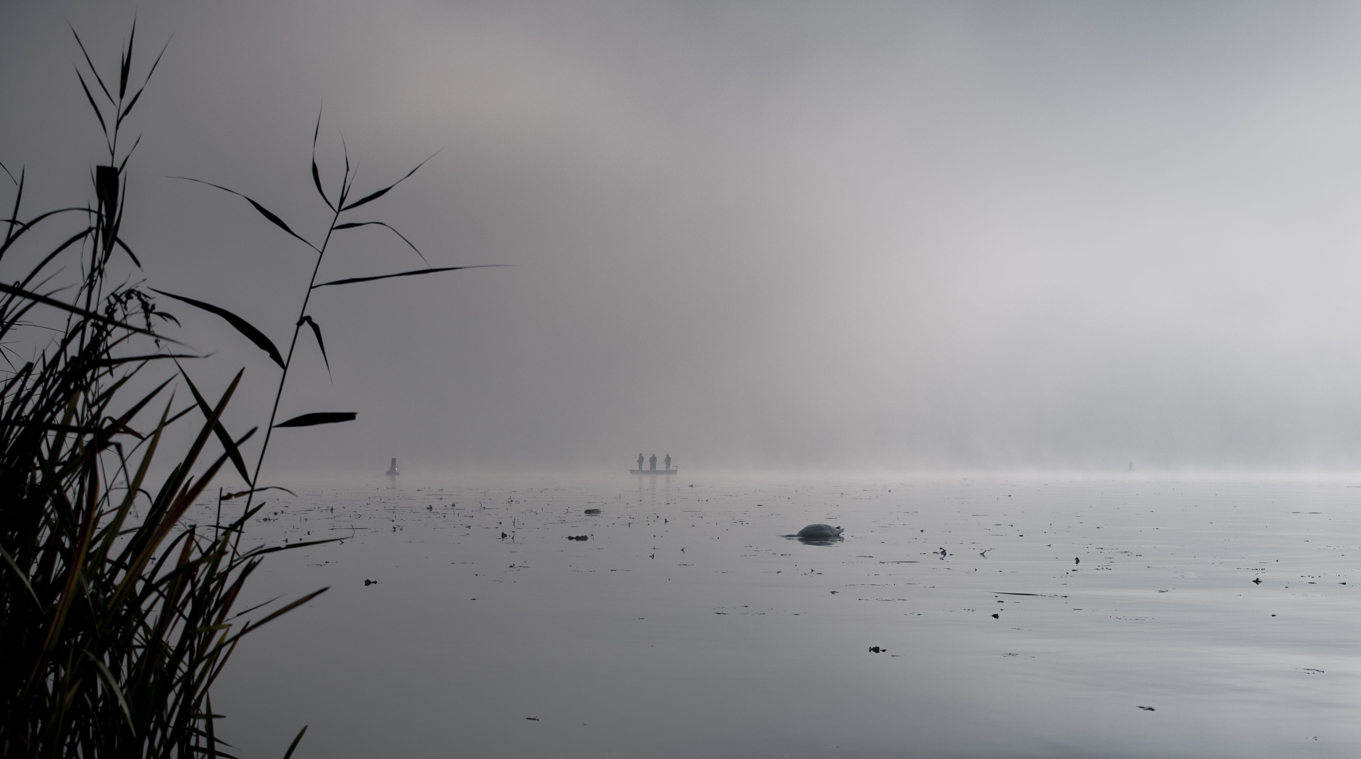 plant, nature, sea, angler, fog, scenics - nature, sky, non-urban scene, lake, day, peaceful, no people, beauty in nature, idyllic, 4K, boat, tranquil scene, HD Wallpaper