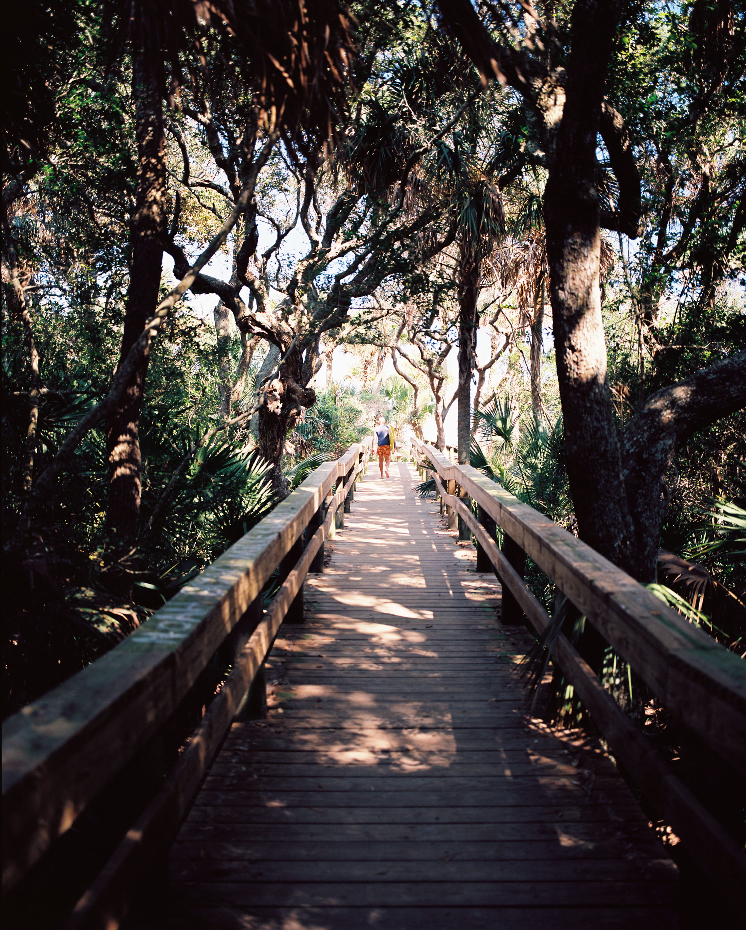 jacksonville, hobby, deck, moss, tranquility, the way forward, bridge, wood - material, day, nature, architecture, wave, beach, plant, path, wood, direction, Phone HD Wallpaper