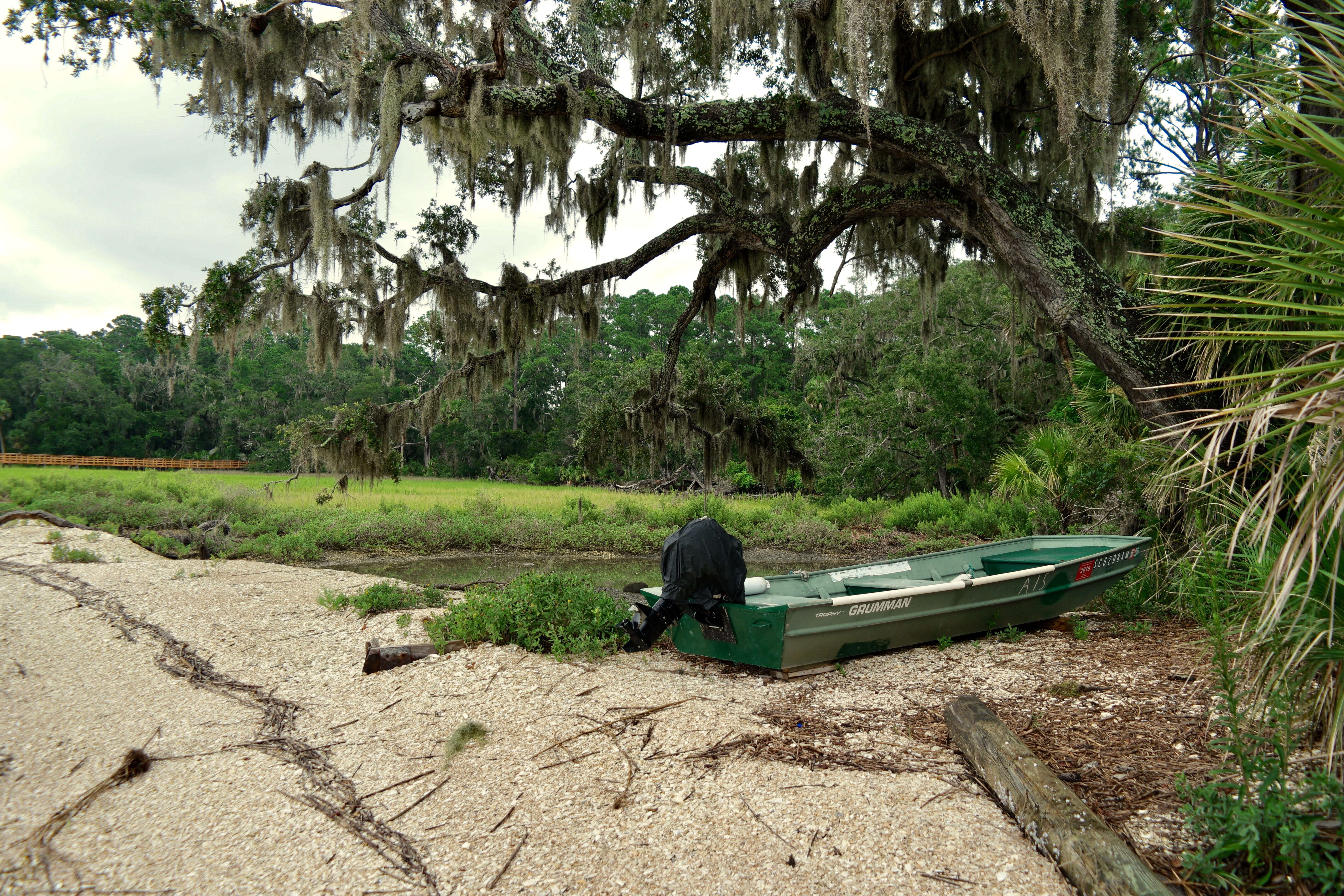 boat, park, tranquility, nature, day, green color, united states, land, tranquil scene, growth, 5K, plant, south carolina, seat, one person, tree, one animal, HD Wallpaper