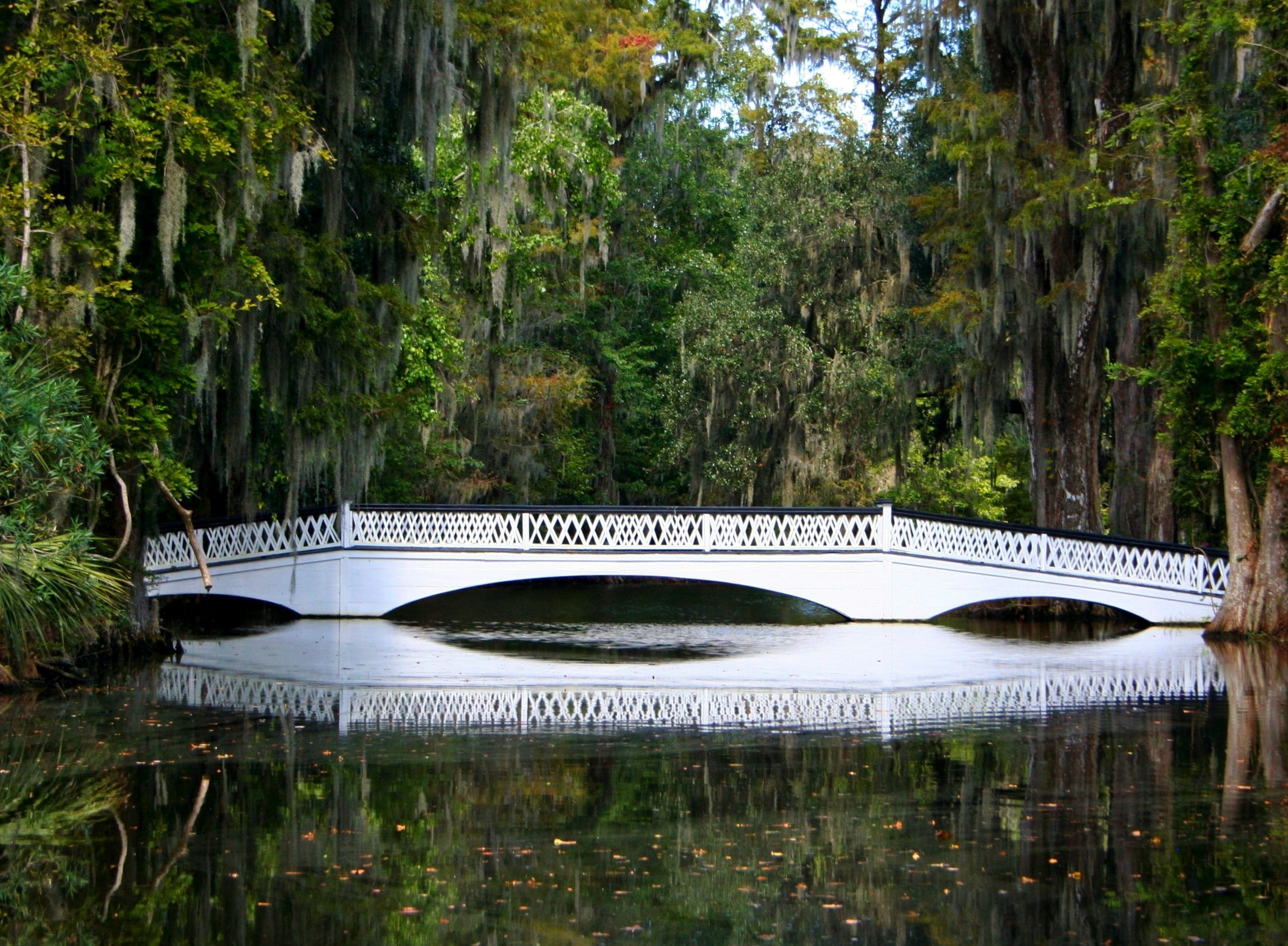 2K, no people, reflection, footbridge, Pond, lake, bridge, bridge - man made structure, plant, transportation, growth, tranquility, nautical vessel, beauty in nature, HD Wallpaper