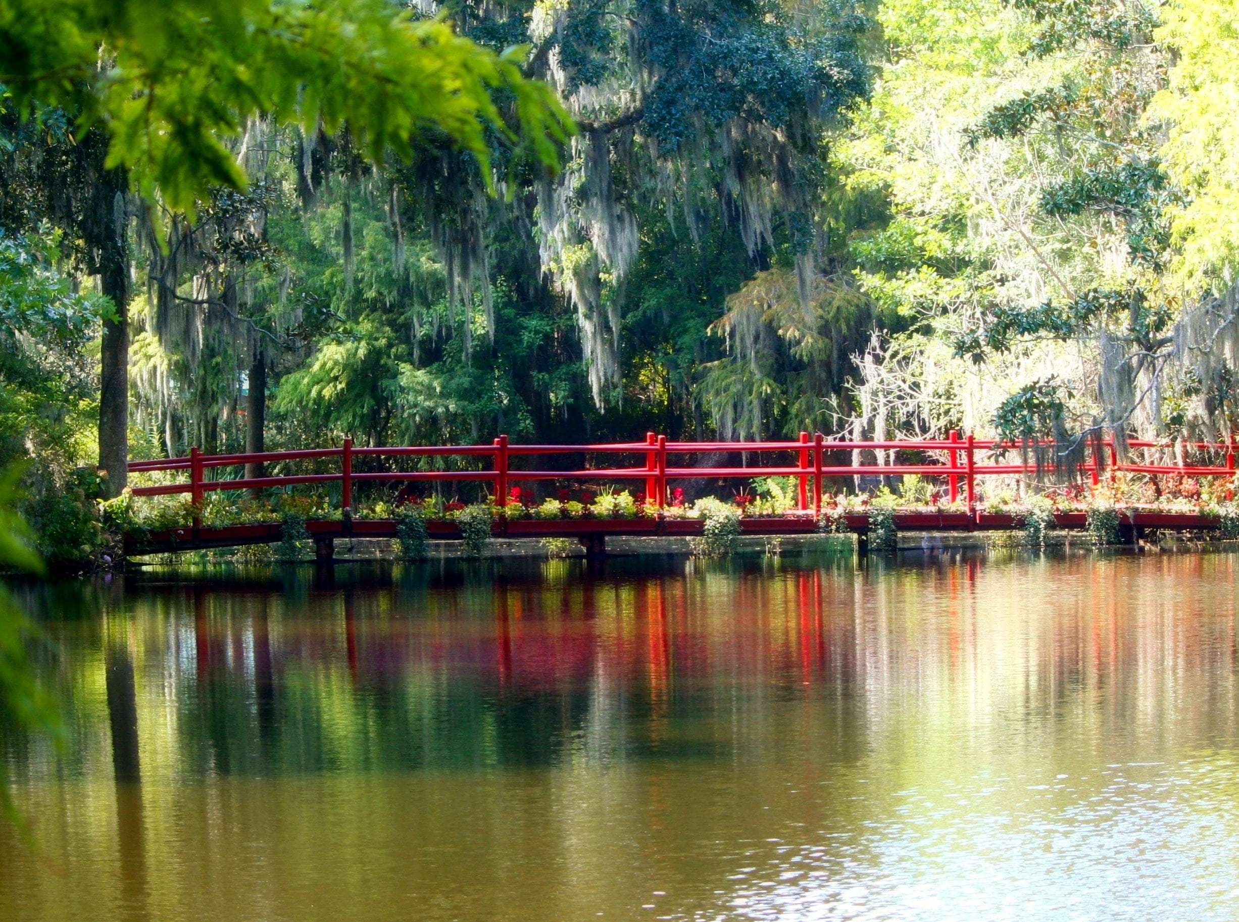 river, growth, swamp, spanish moss, no people, pond, waterfront, body, wooden, asia, water, path, outdoors, built structure, transportation, scenics - nature, HD Wallpaper