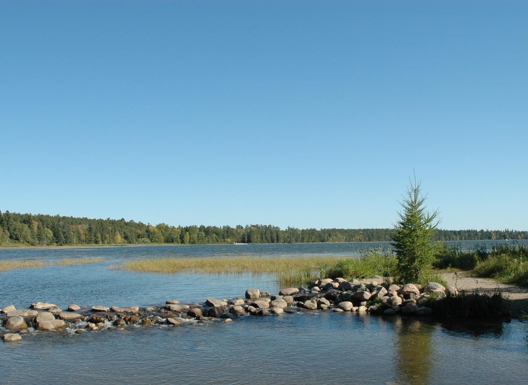 copy space, animal themes, animal wildlife, outdoors, beauty in nature, tranquility, nature, 1080P, flock of birds, itasca, headwaters, scenics - nature, HD Wallpaper