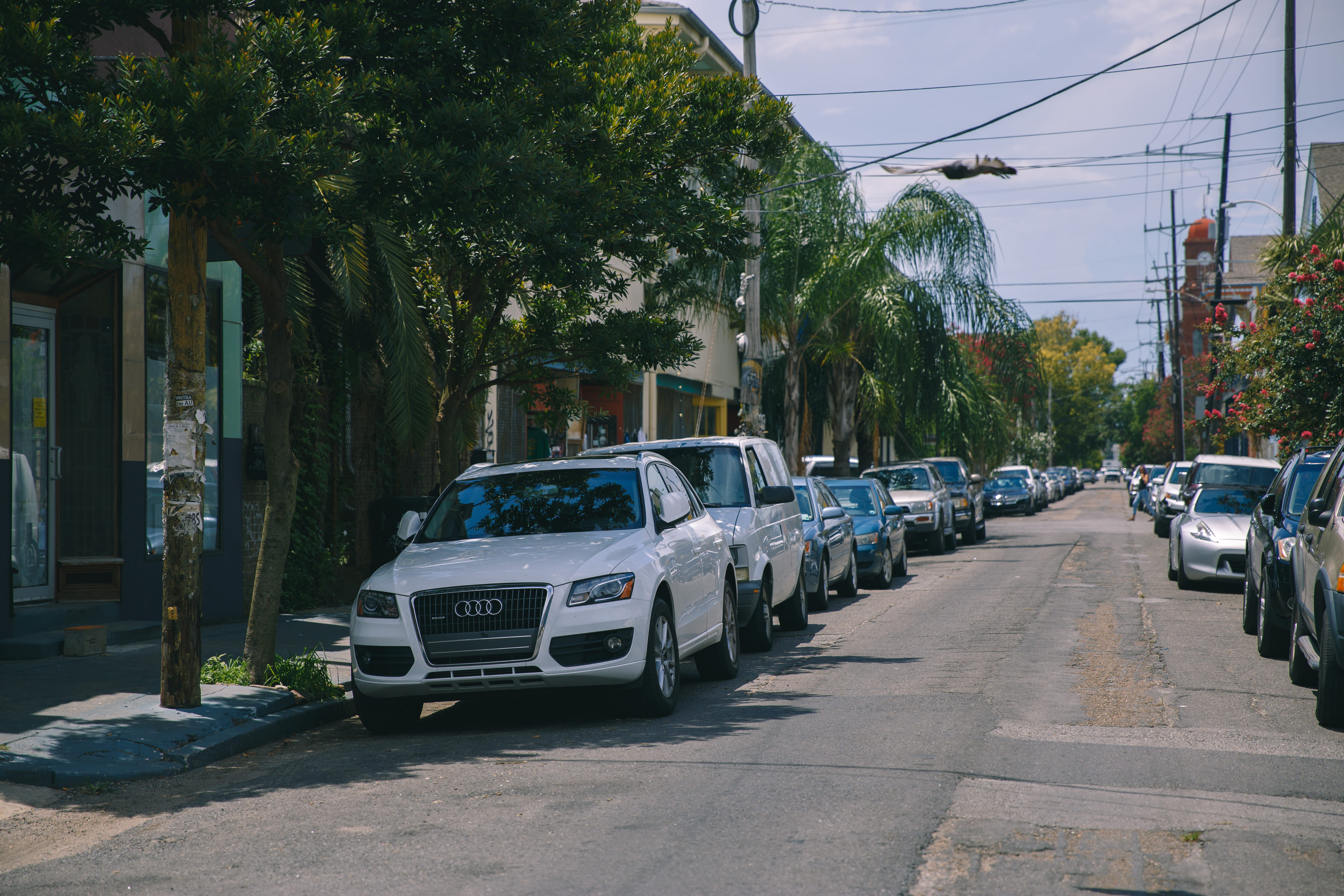 stationary, motor vehicle, road, transportation, busy, trees, southern, sky, 5K, midc city, outdoors, building exterior, tree, old town, bird, mode of transportation, HD Wallpaper