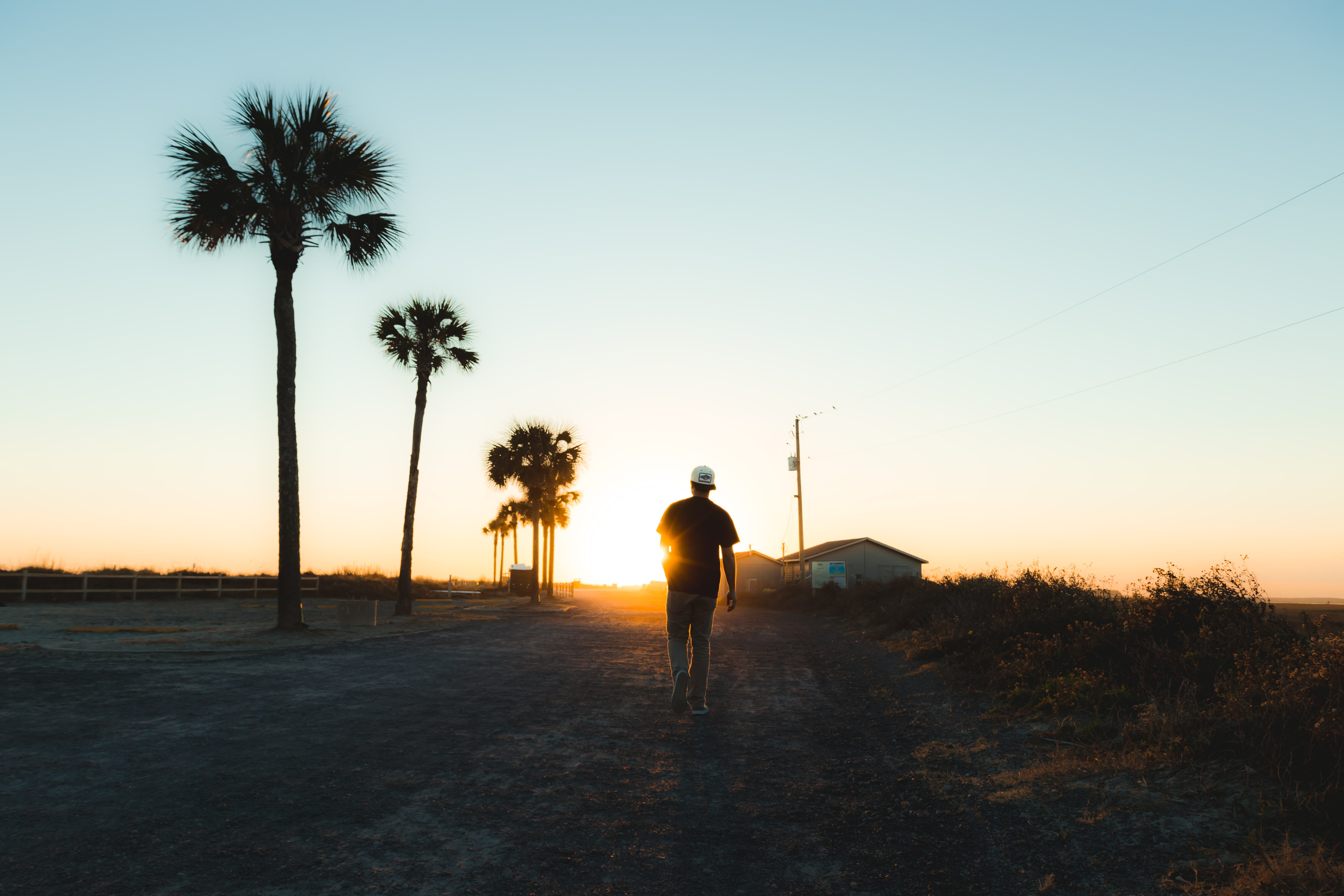 beach, palm tree, men, sky, full length, tree, silhouette, 5K, plant, southern, charleston, sunset, scenics - nature, field, beauty in nature, outdoors, HD Wallpaper