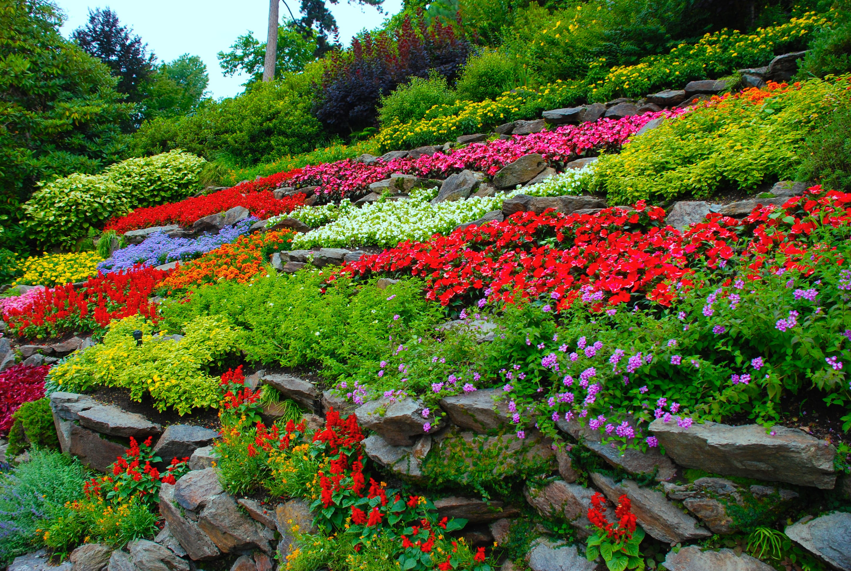 landscape, Garden, plant, green Color, summer, tranquility, colorful, blossom, outdoors, bloom, tree, 2K, spring, Spring, design, red, freshness, flowerbed, HD Wallpaper