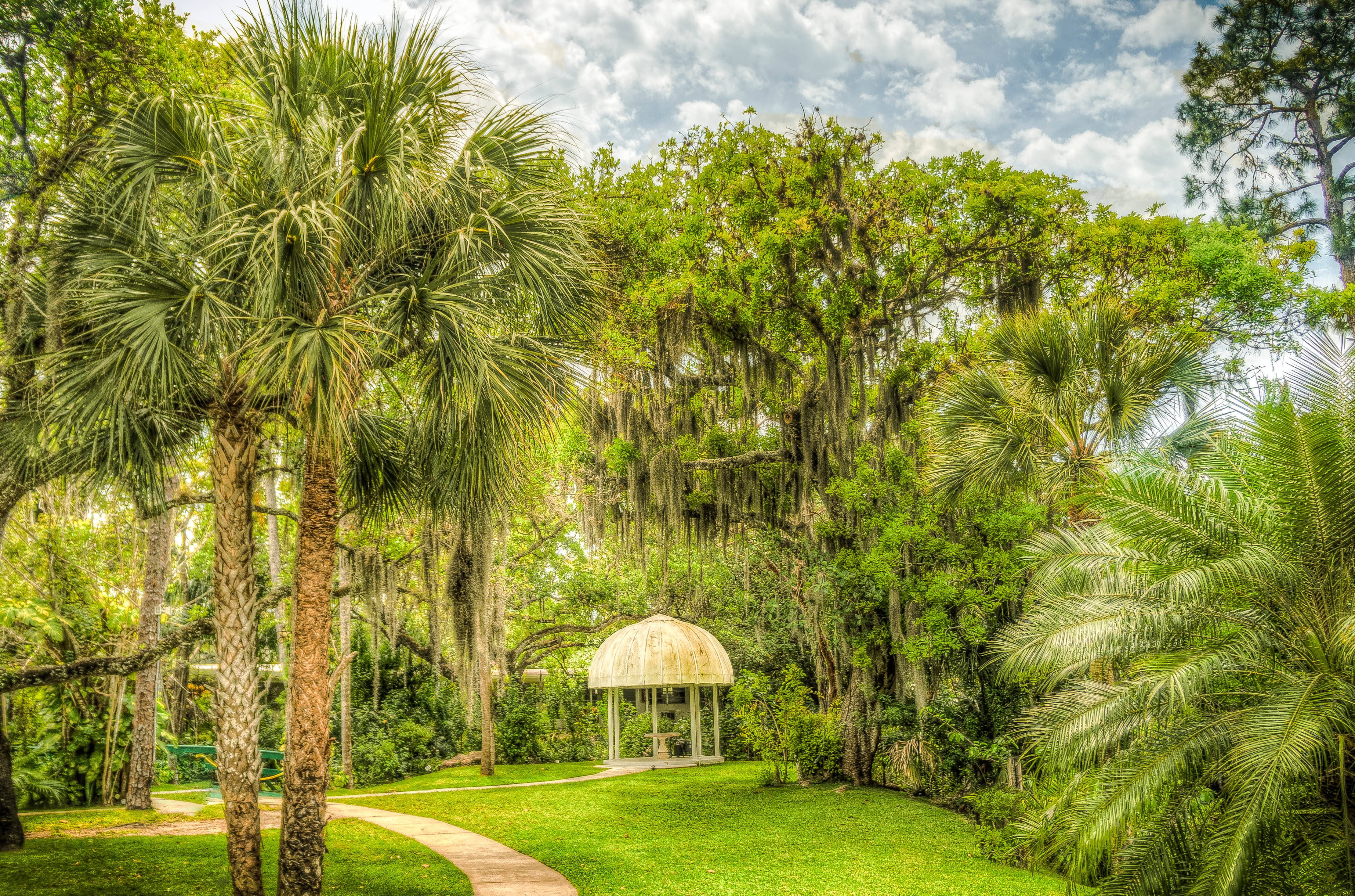 nature, landscape, leaves, growth, woodland, grass, field, south florida, sky, shangri-la, beauty in nature, park, day, forest, tree, gazebo, agriculture, HD Wallpaper