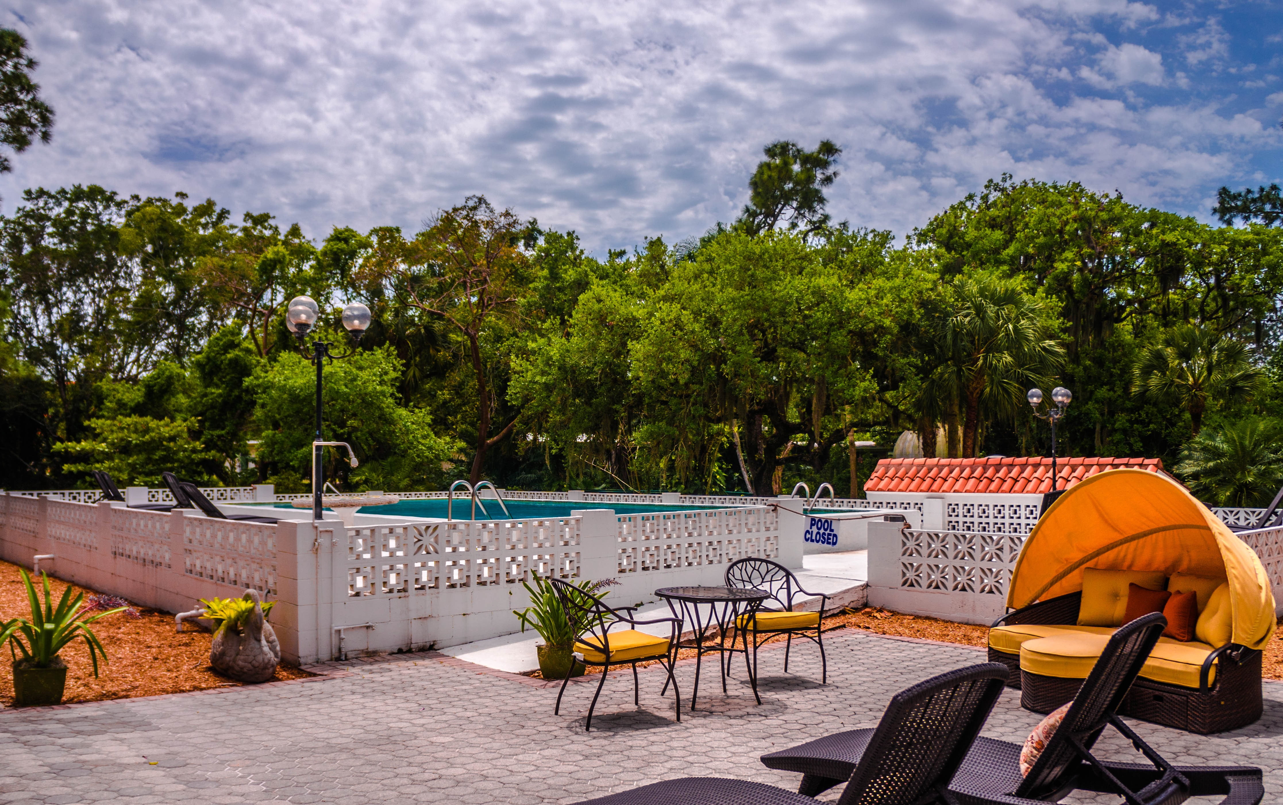 hotel, palm trees, water, sky, day, cafe, spa, tree, plant, sunlight, pool, cloud - sky, empty, florida, chair, table, bonita springs, no people, absence, HD Wallpaper