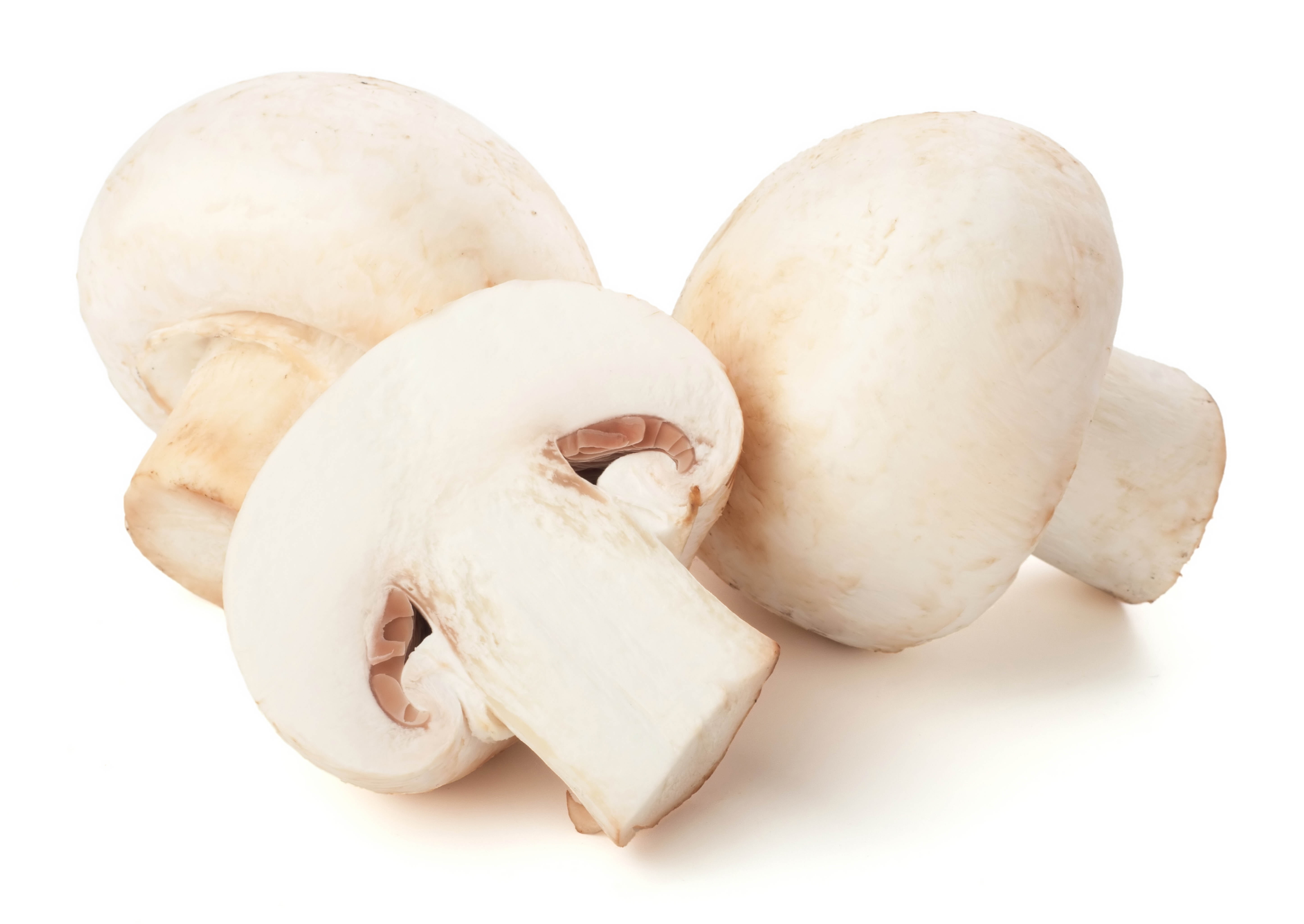 gourmet, indoors, dieting, ingredient, isolated, mushrooms, wellbeing, white Mushroom, cooking, ripe, still life, eating, cut out, close-up, fungus, backgrounds, HD Wallpaper
