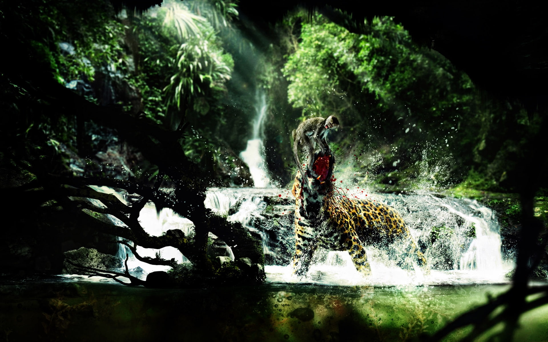 monkey, food, fungi, 1080P, illustration, infected, fighting, tiger, HD Wallpaper