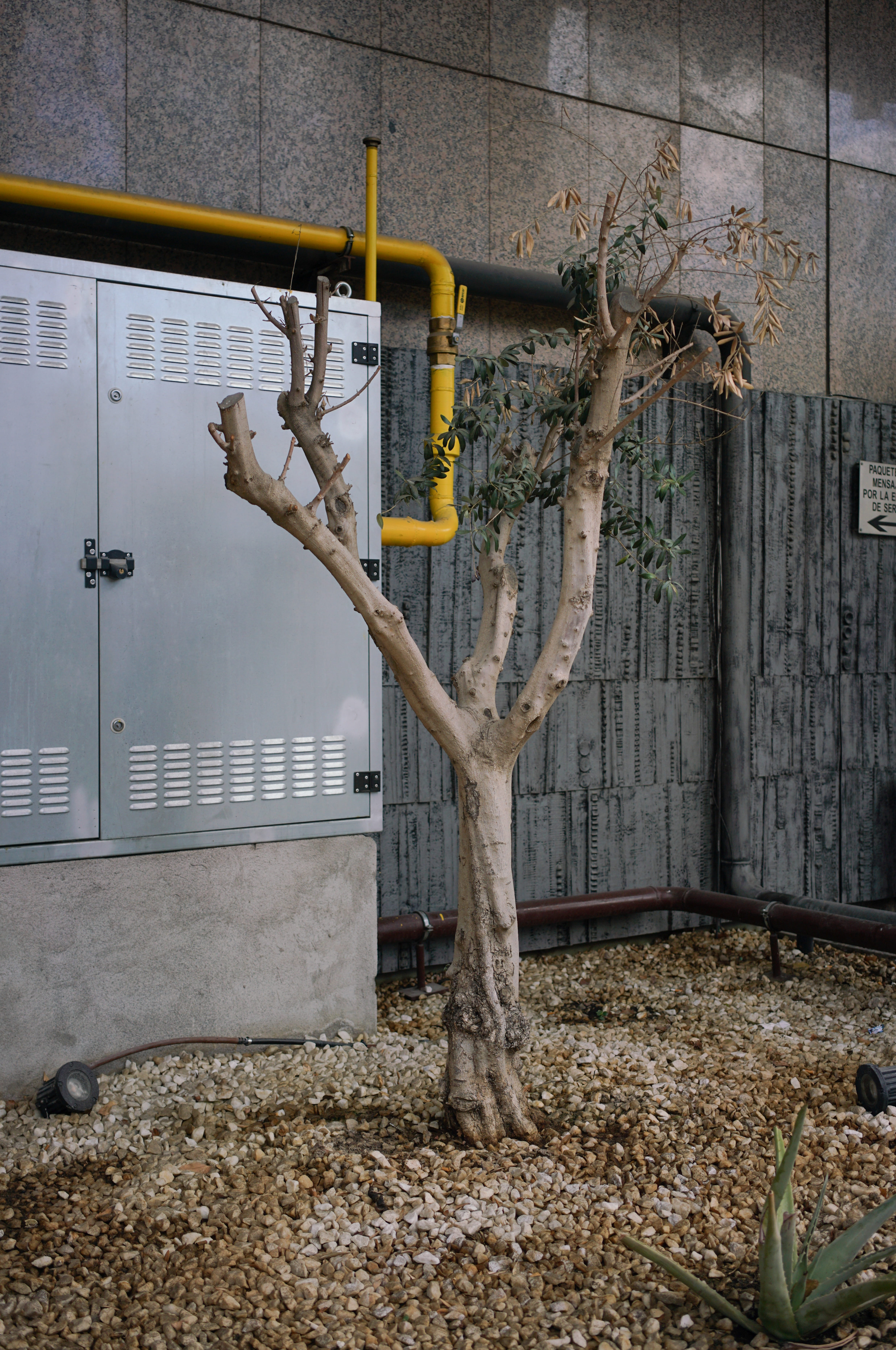 communication, building, wall, symbiosis, built structure, pipe - tube, wall - building feature, street, no people, day, yellow, leaf, urbam, electricity, Phone HD Wallpaper
