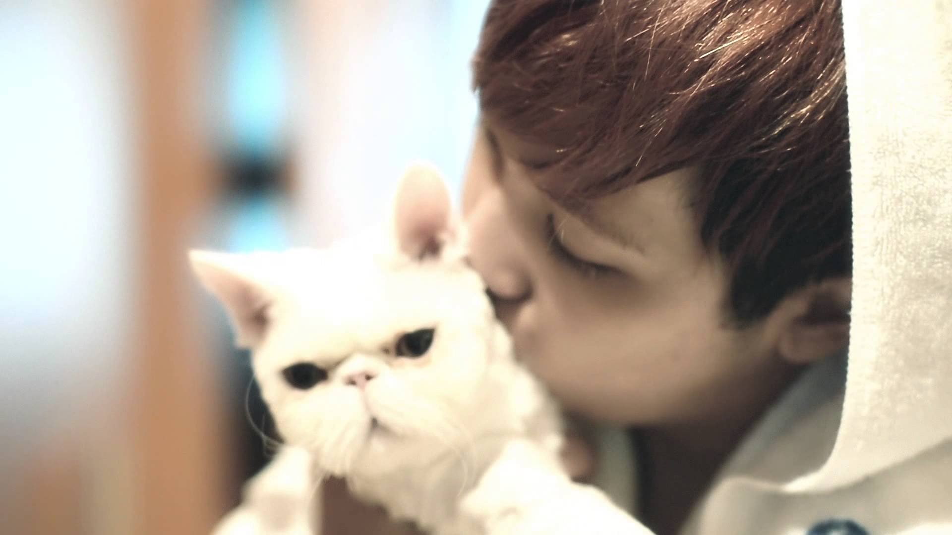 1080P, five, island, k-pop, ftisland, kpop, treasure, pop, rock, HD Wallpaper