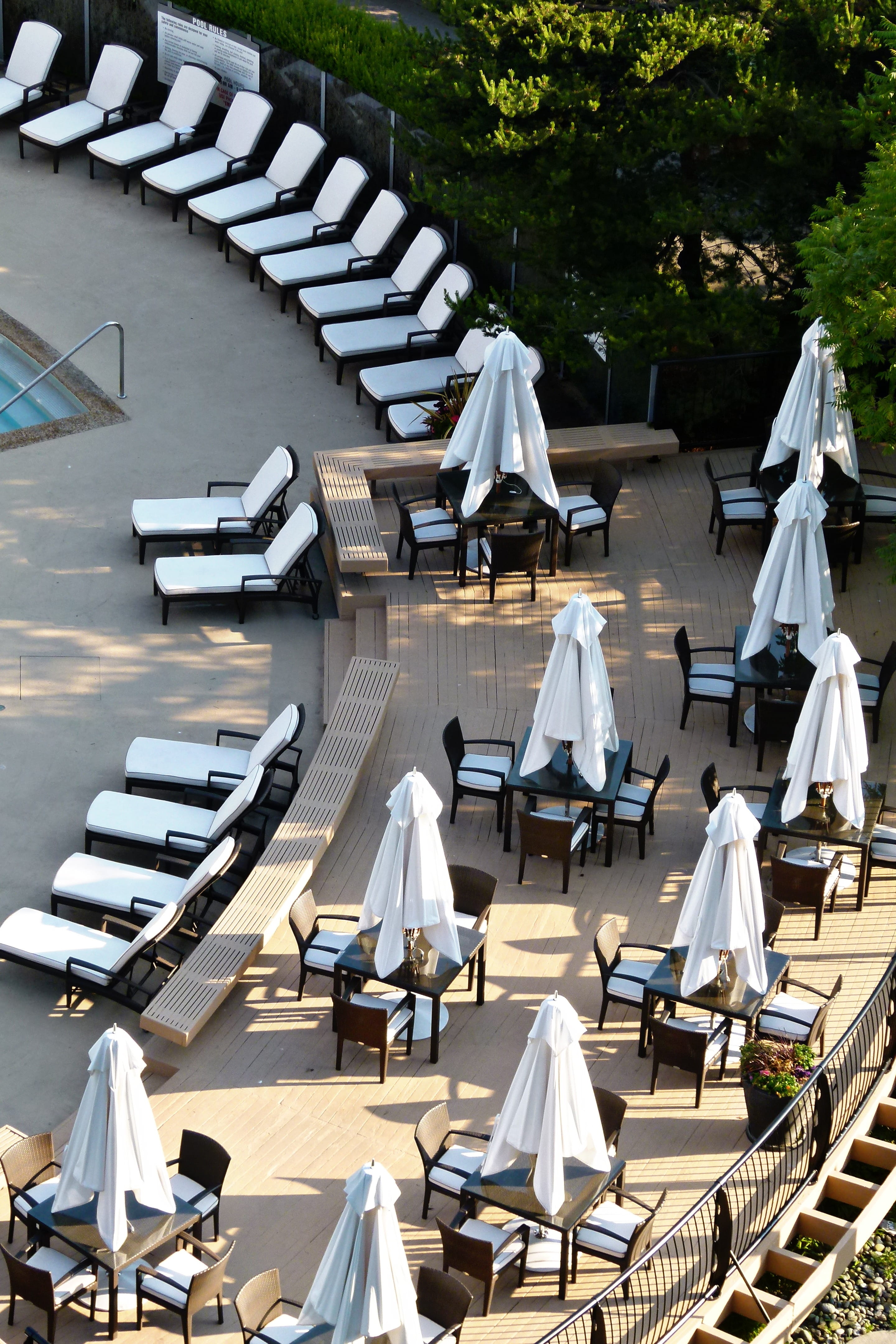 chair, resort, tree, Umbrellas, parasol, no people, sunlight, high angle view, relaxation, large group of objects, canopy, 4K, setting, architecture, vacation, Phone HD Wallpaper