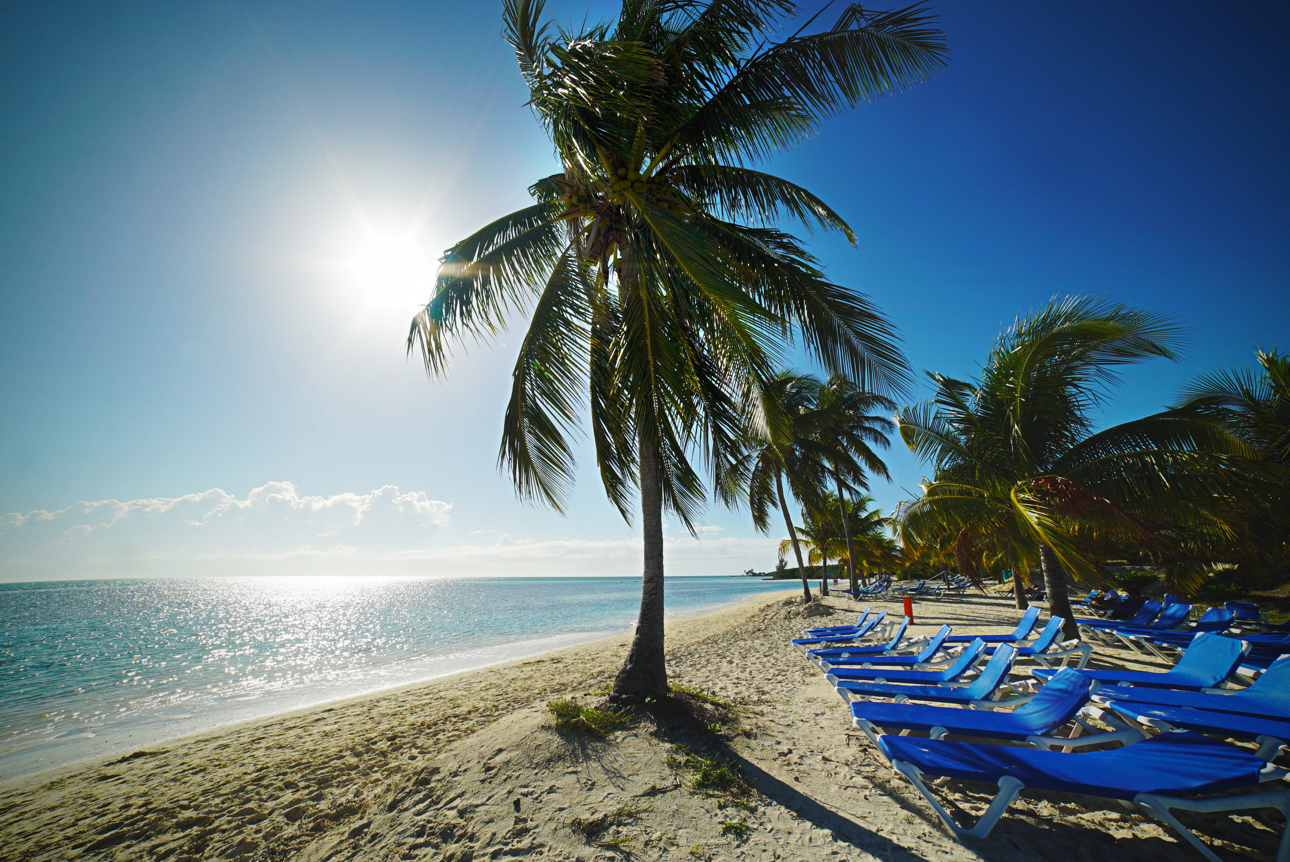 horizon over water, palm tree, tree, beach, sand, nature, sunlounger, coconut palm tree, tropical tree, outdoors, 4K, water, no people, seashore, land, HD Wallpaper