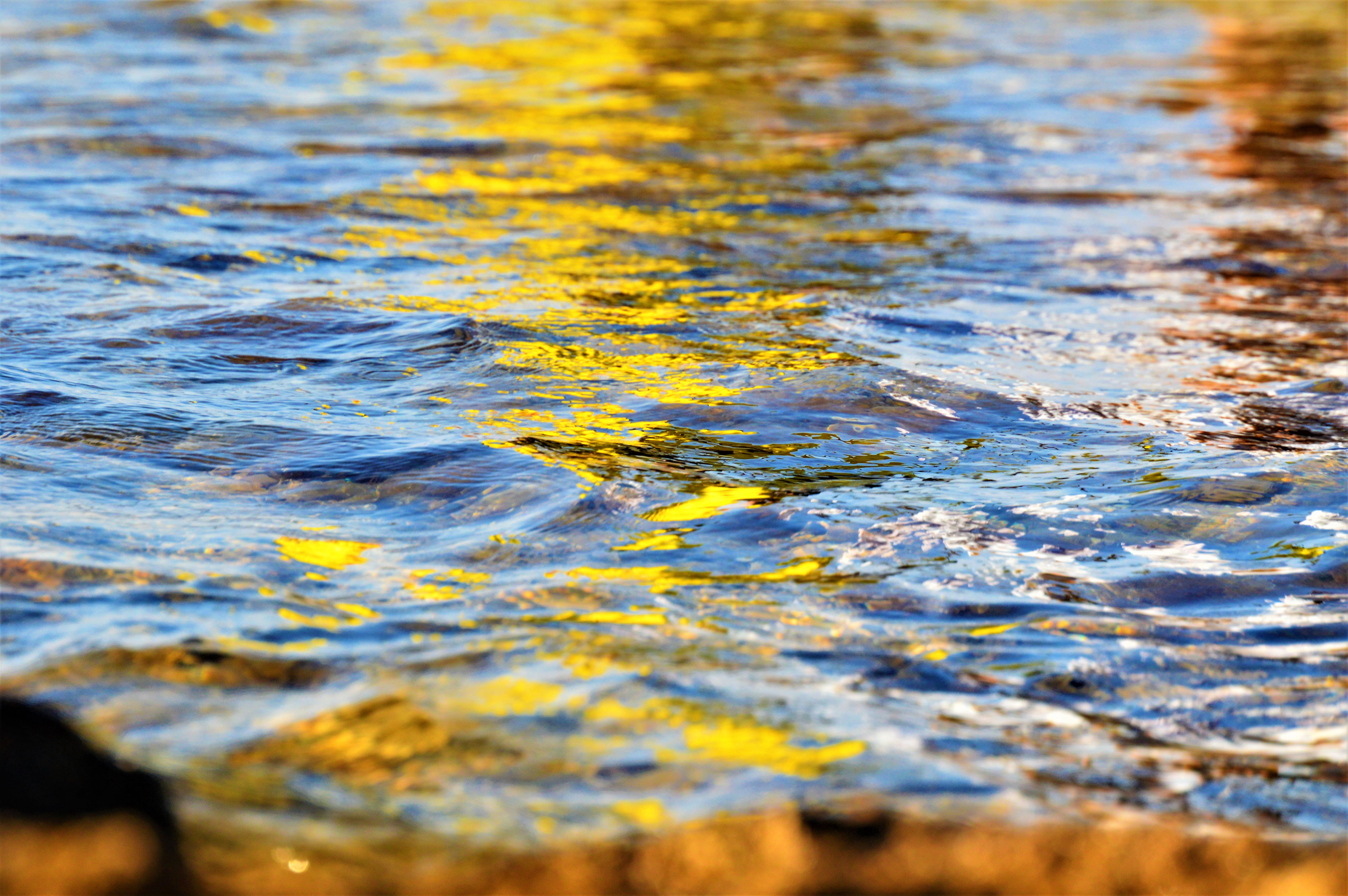 colors, waterfront, yellow, ocean, motion, 5K, rippled, day, lebanon, swimming pool, outdoors, nature, close-up, purity, susnet, focus on foreground, textured, HD Wallpaper