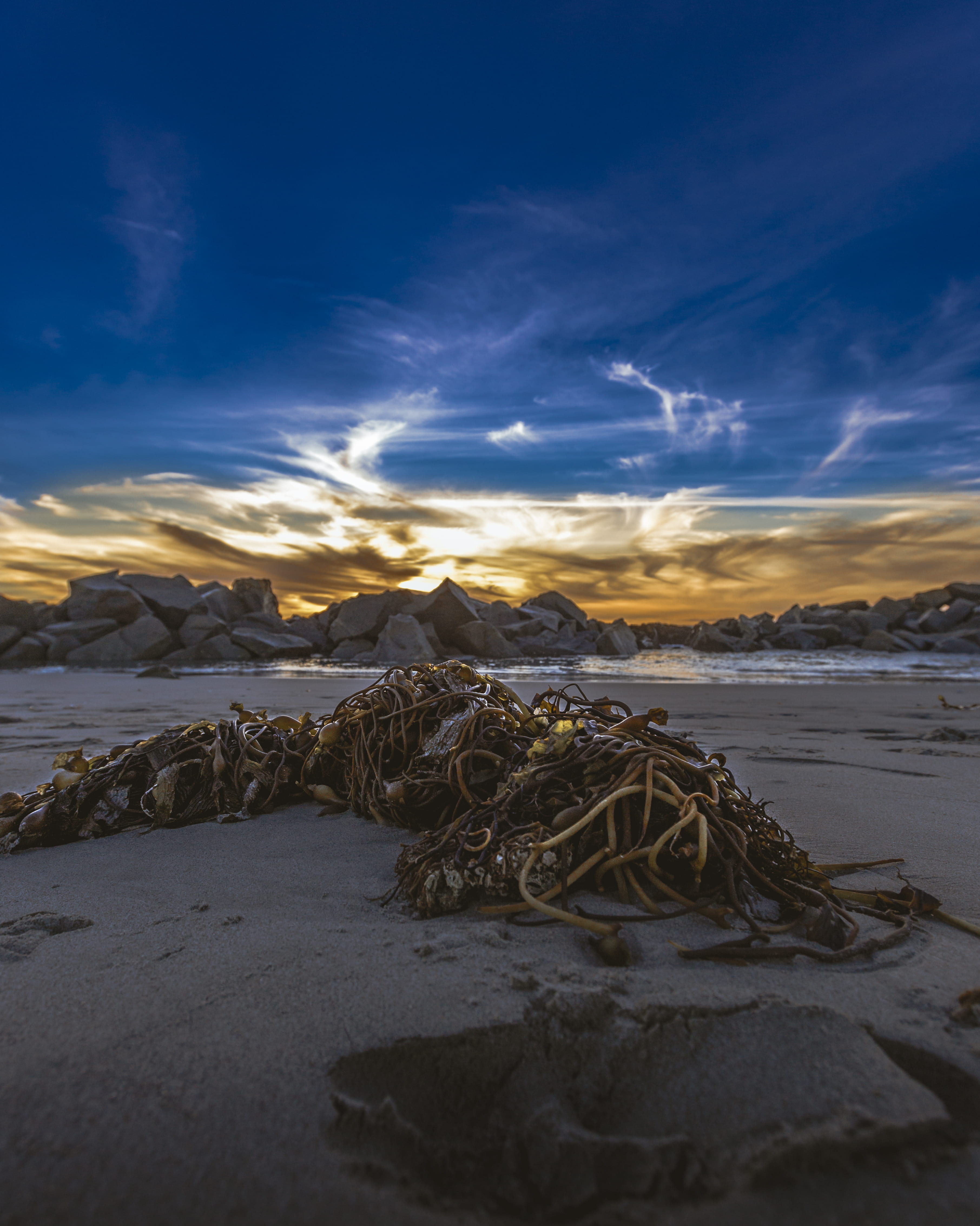 beach, venice beach, sky, idyllic, sand, land, water, ocean, seaweed, 4K, day, no people, beauty in nature, non-urban scene, susnet, scenics - nature, Phone HD Wallpaper