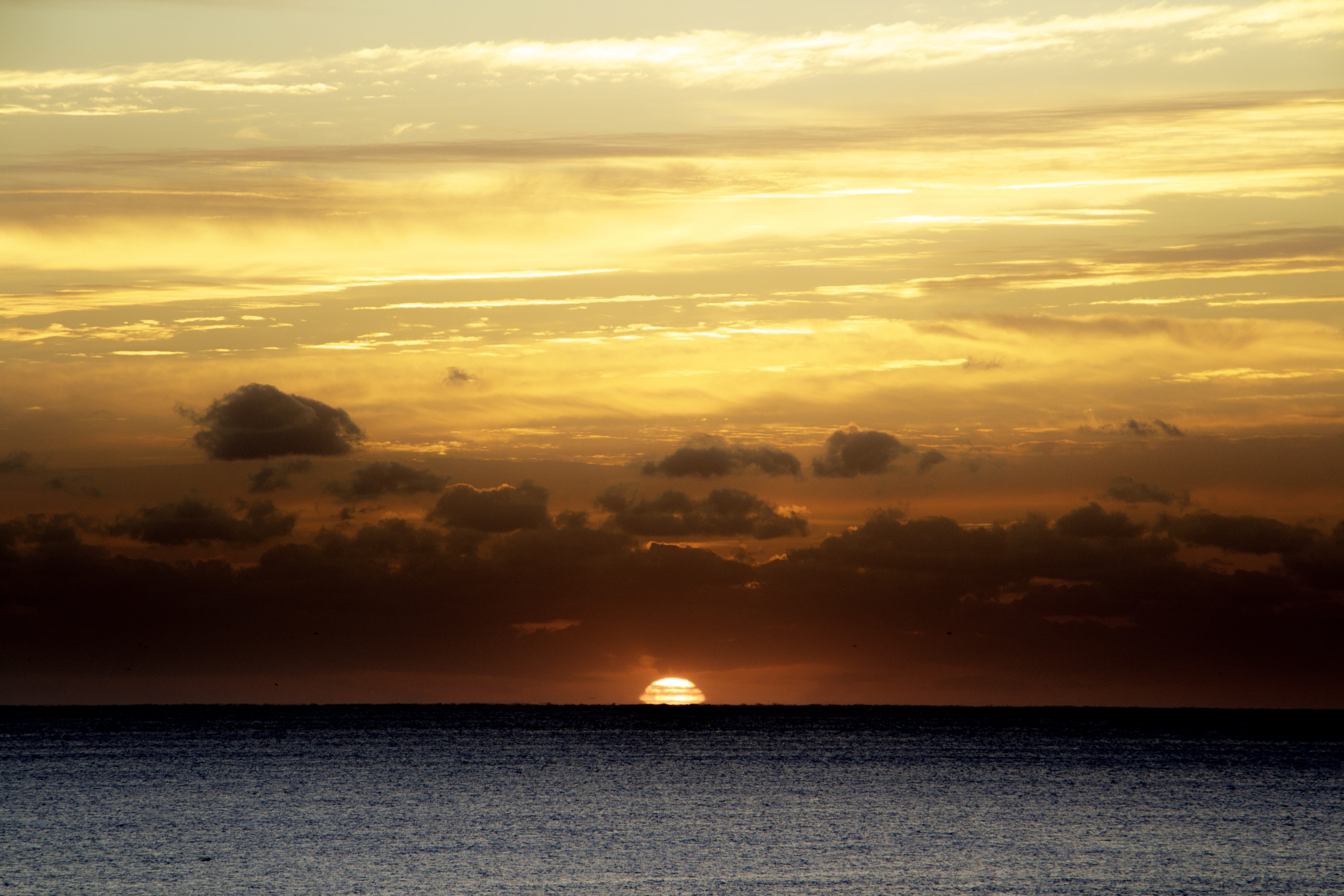 horizon, 5K, orange color, south beach, sunset, body of water, water, cloud, tranquil scene, sky, ocean, idyllic, miami, seascape, dramatic sky, no person, HD Wallpaper