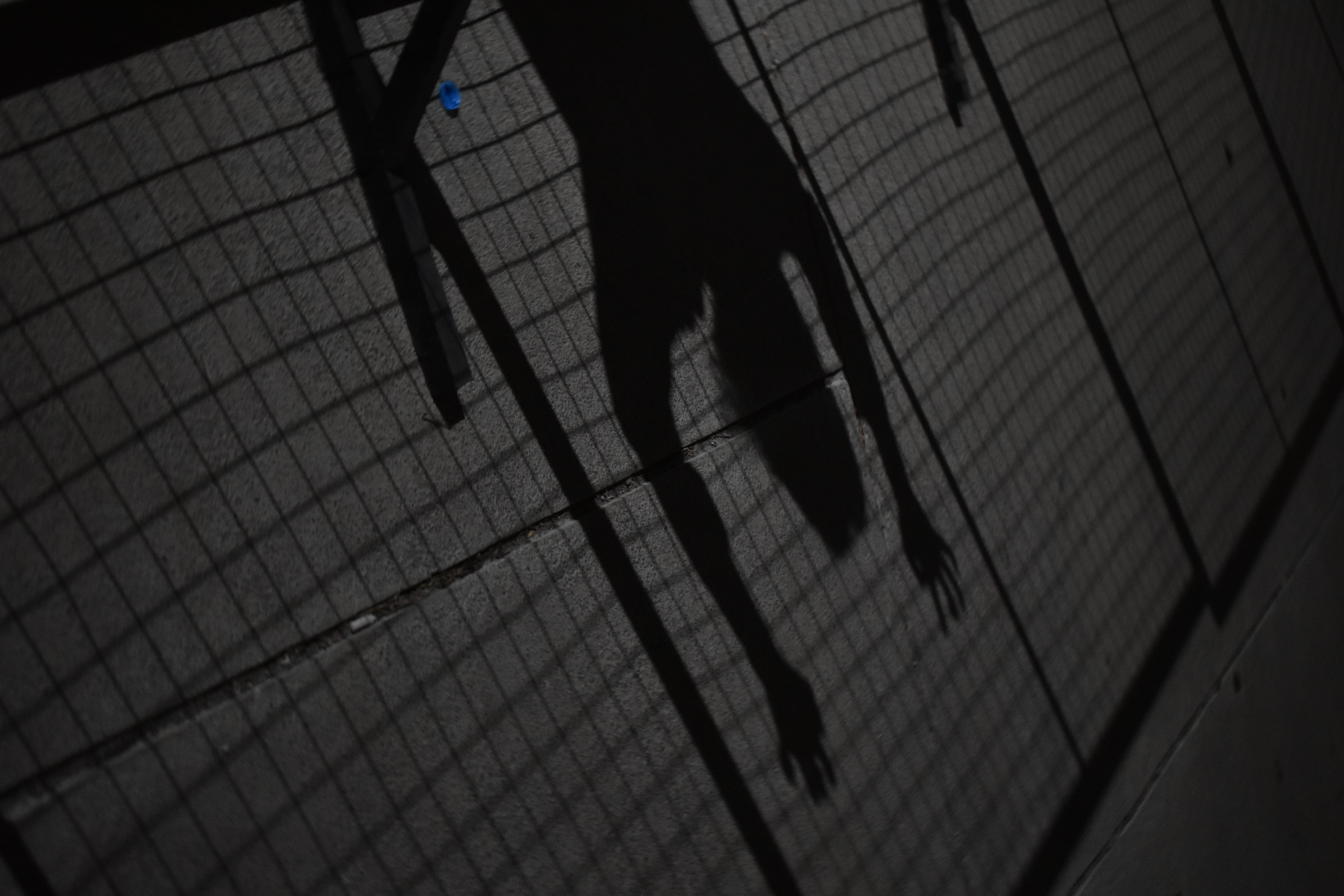 5K, fence, silhoutte, high angle view, sidewalk, shadow, one person, wire, racket, leisure activity, handrail, day, bw, footpath, barbed wire, lifestyles, HD Wallpaper