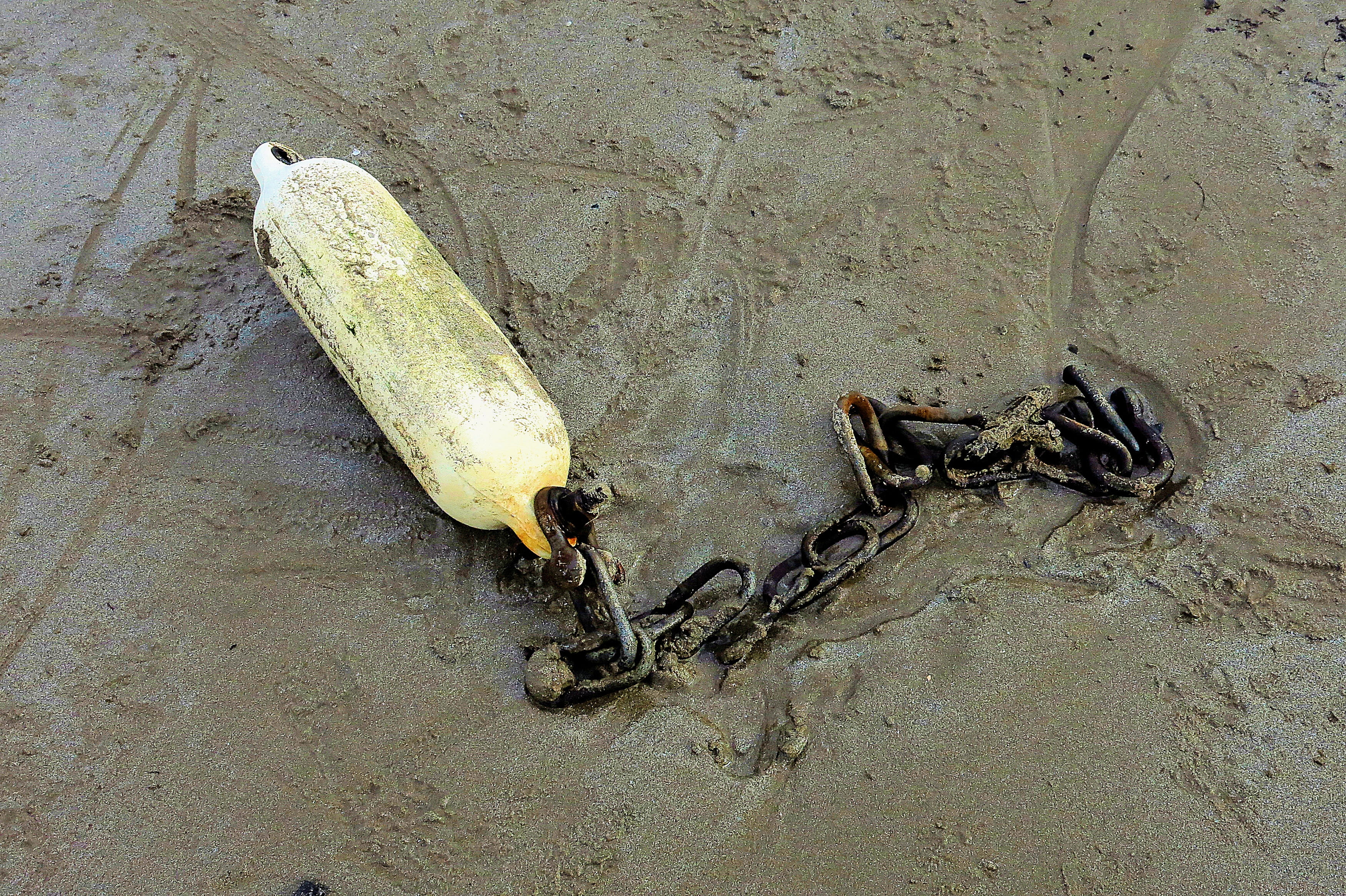 fishing lure, no people, snake, oil spill, nature, invertebrate, archaeology, animal, bait, chain, food, pollution, reptile, banana, day, boat, fruit, fender, HD Wallpaper
