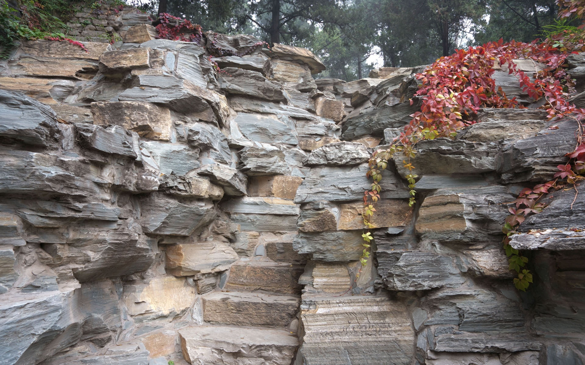 history, buddha, architecture, wall, old, 1080P, stone wall, famous Place, building, outdoors, stone - Object, tree, solid, wat, temple - Building, staircase, HD Wallpaper