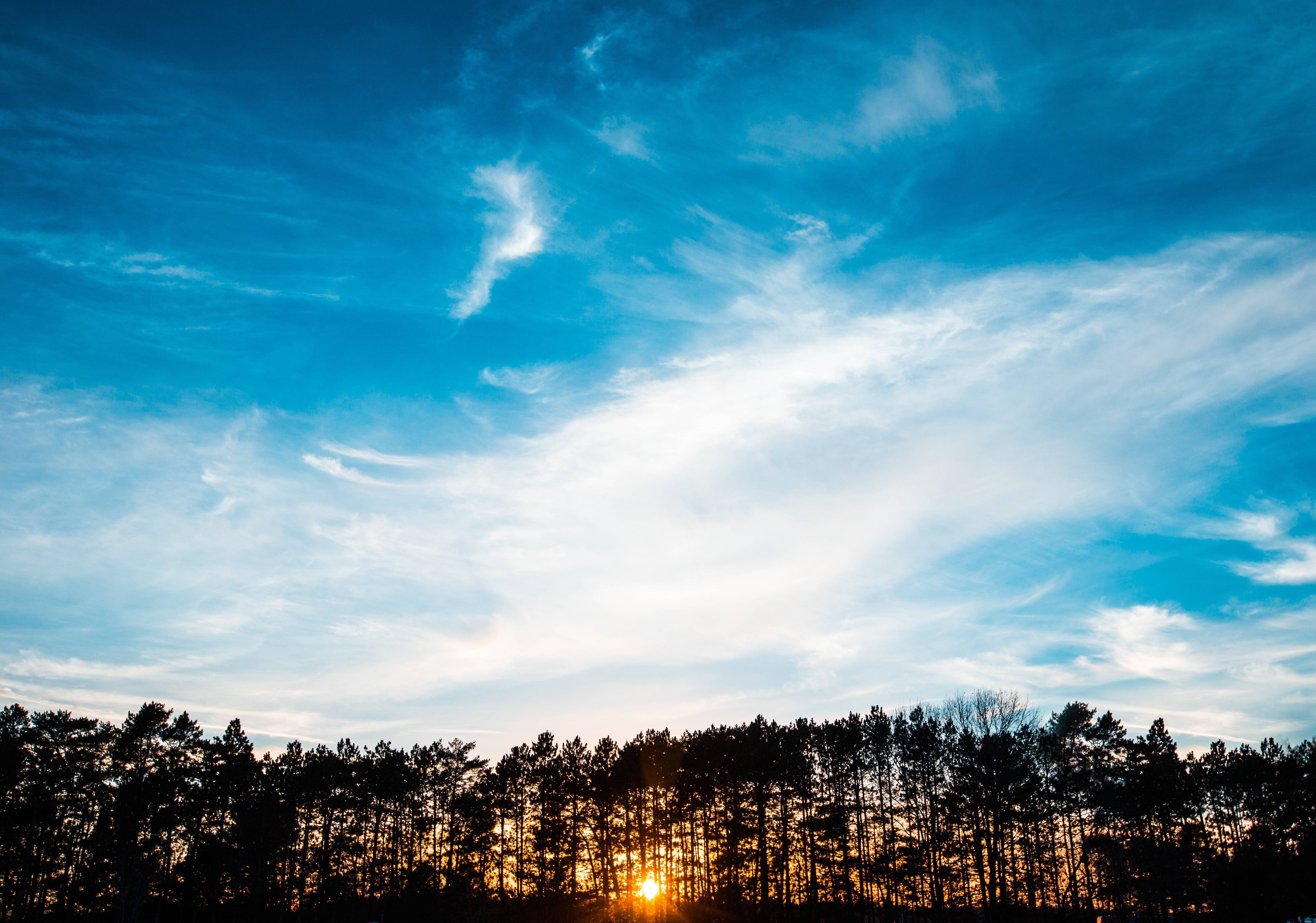 summer, tranquility, no people, trees, plant, environment, sun, treetop, sunlight, scenics - nature, 5K, forest, tranquil scene, sunset, blue, landscape, HD Wallpaper