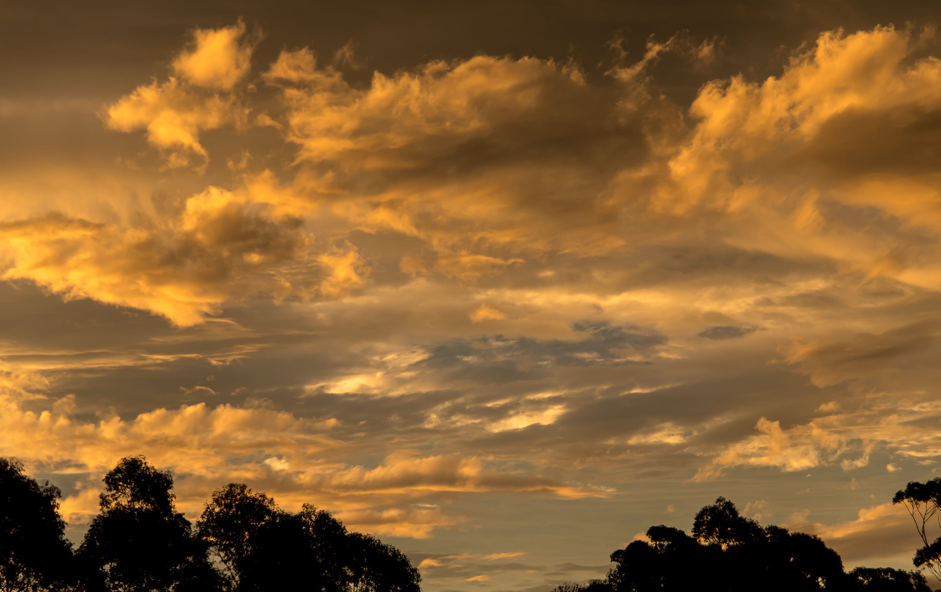 cloudscape, sunset, yellow, queensland, horizon, nature, no people, low angle view, outdoors, plant, orange, beauty in nature, tranquil scene, overcast, HD Wallpaper