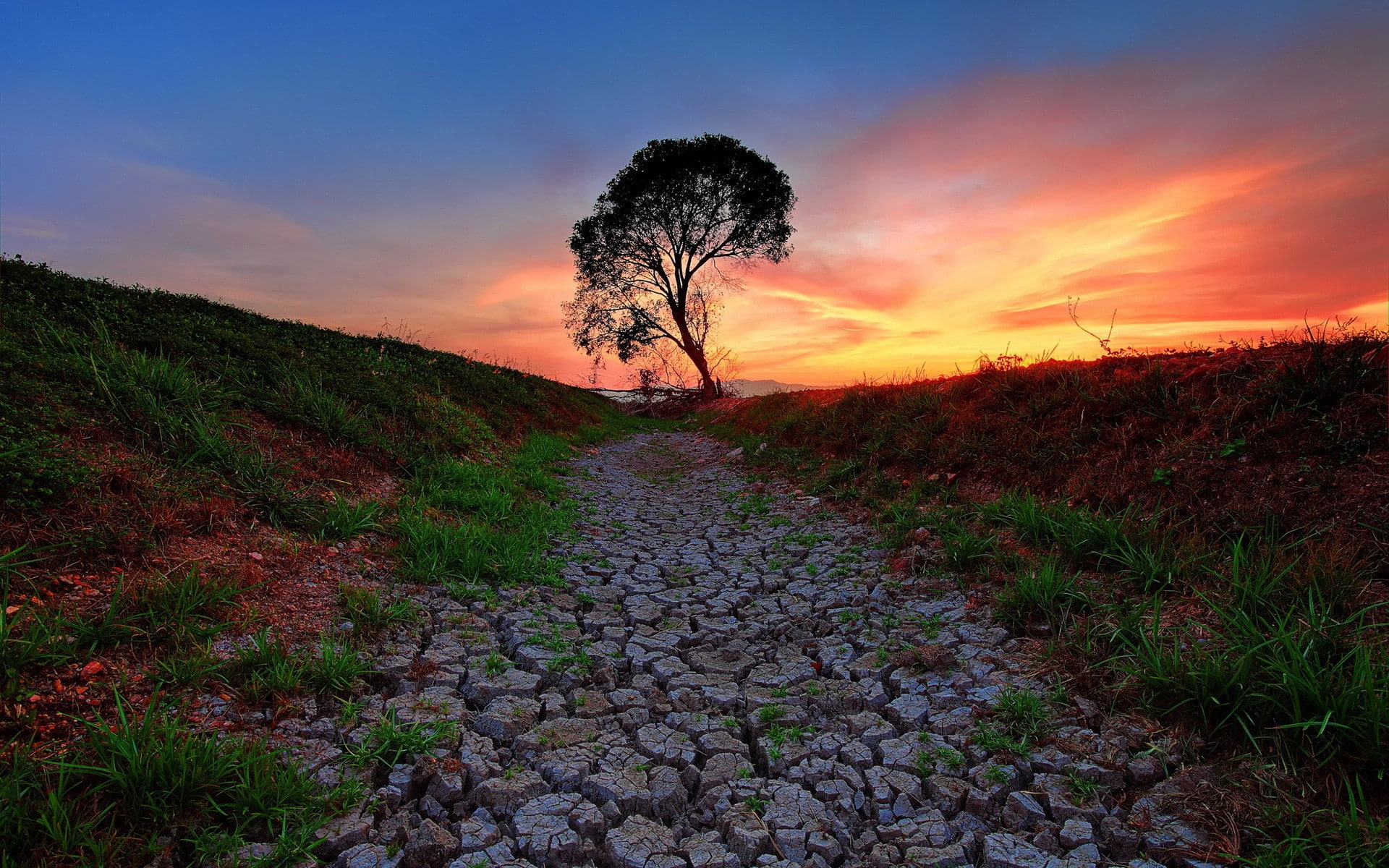 trees, sunset, path, 1080P, landscape, orange sky, HD Wallpaper