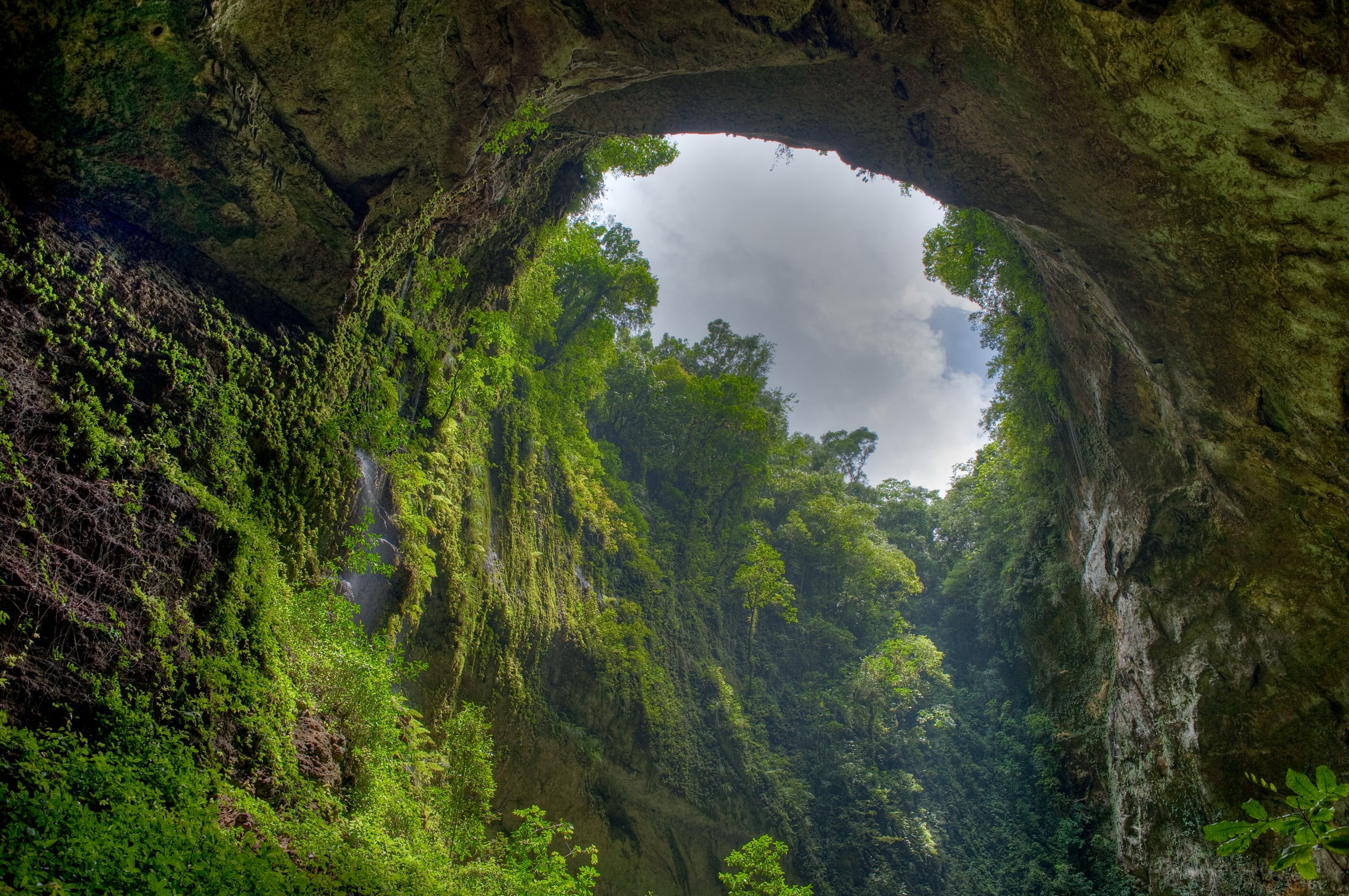 from below, vegetation, clouds, rock, 2K, green, sky, gorge, arch, HD Wallpaper