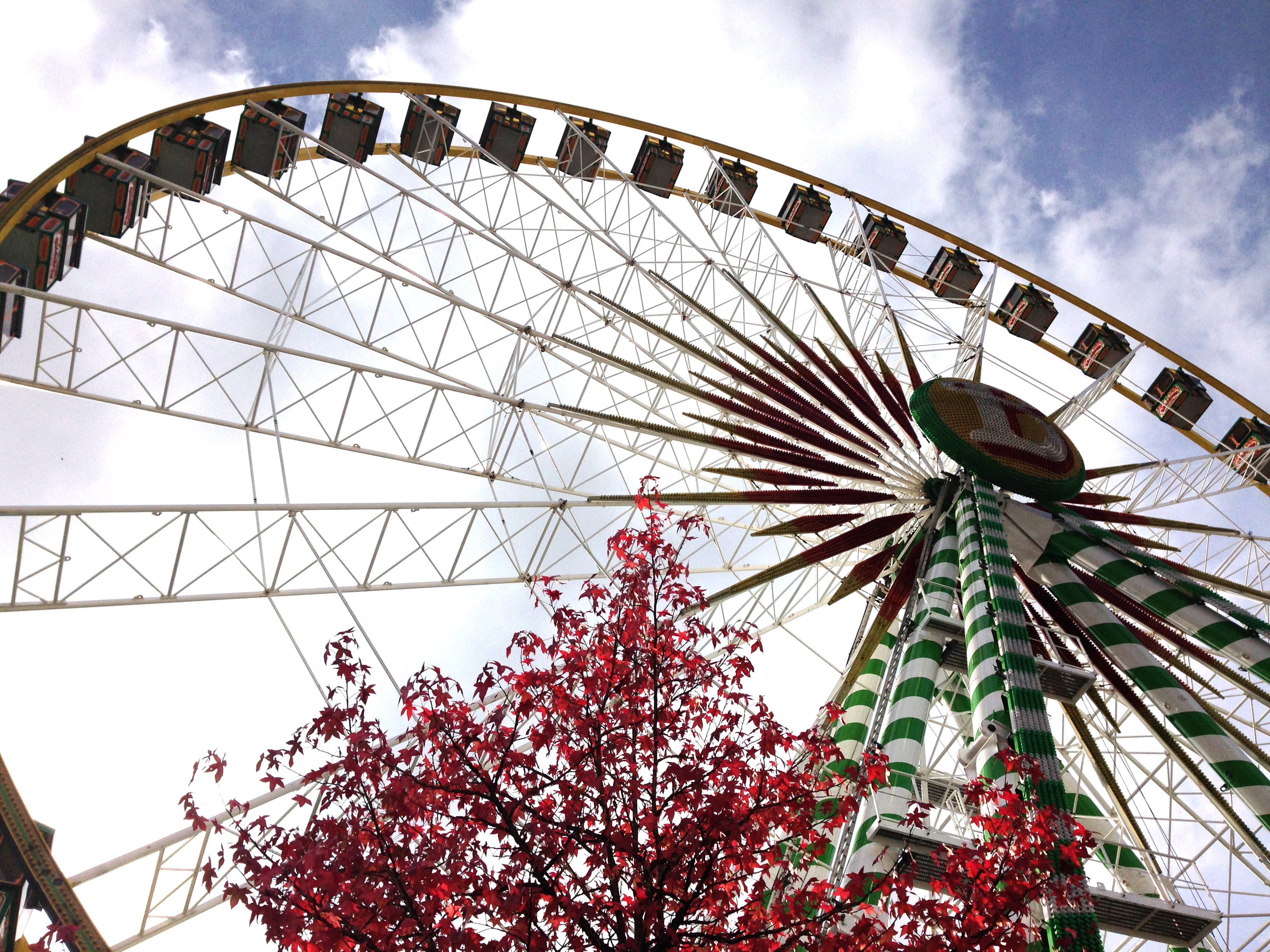 architecture, cloud - sky, brown, plant, wheel, circle, fairground, tree, 2K, outdoors, no people, low angle view, amusement park, shape, amusement park ride, HD Wallpaper
