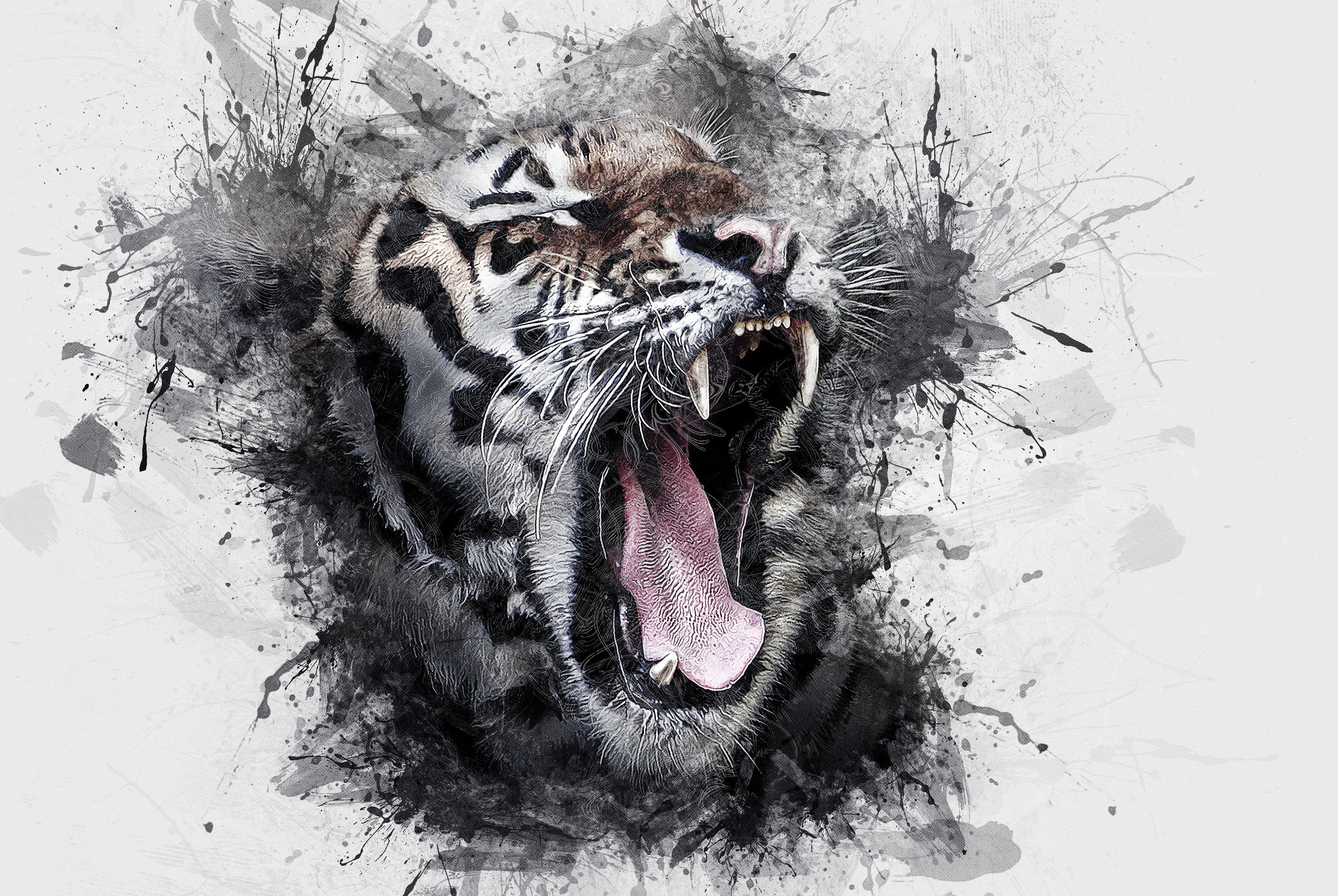 animal, grin, siberian Tiger, animal Head, no People, aggression, art, nature, mouth, furious, whisker, tiger, white, big Cat, safari Animals, close-up, HD Wallpaper