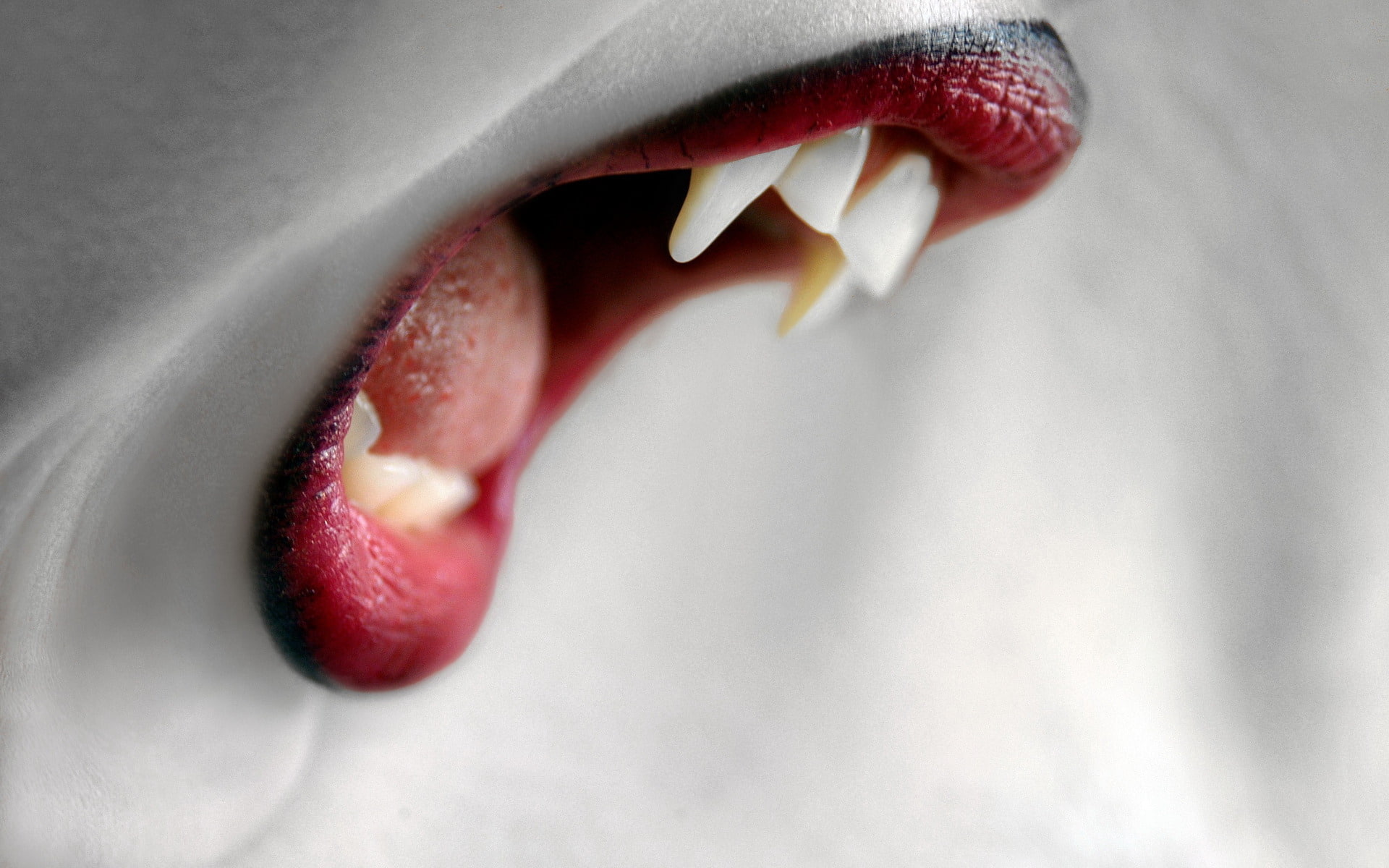 vampire, dental Health, color Image, caucasian Ethnicity, human Tongue, red, teeth, fangs, close-up, beauty, 1080P, dentist, animal Teeth, mouth, human Teeth, HD Wallpaper